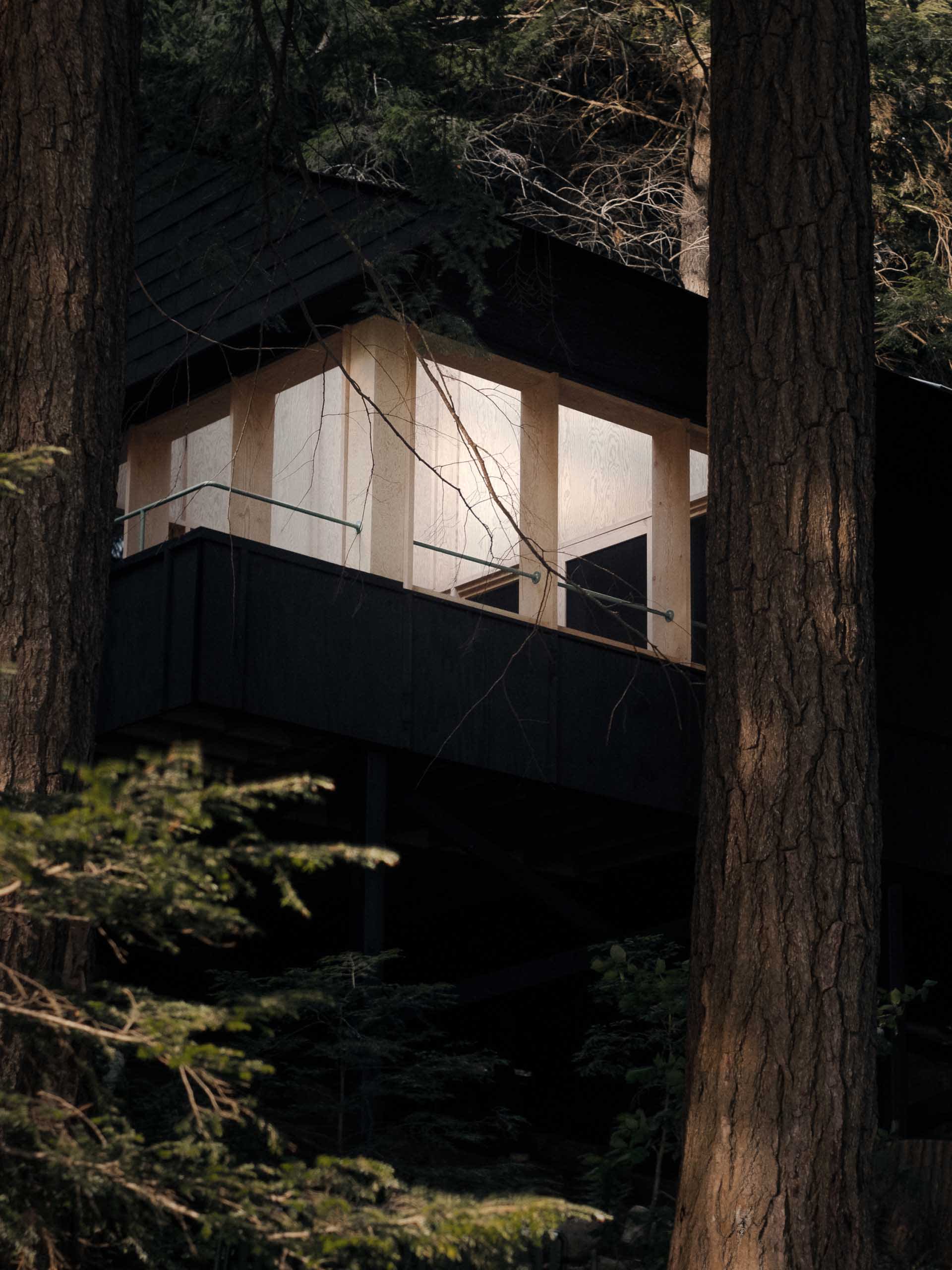 Modern residential home with wooden exterior and large windows.