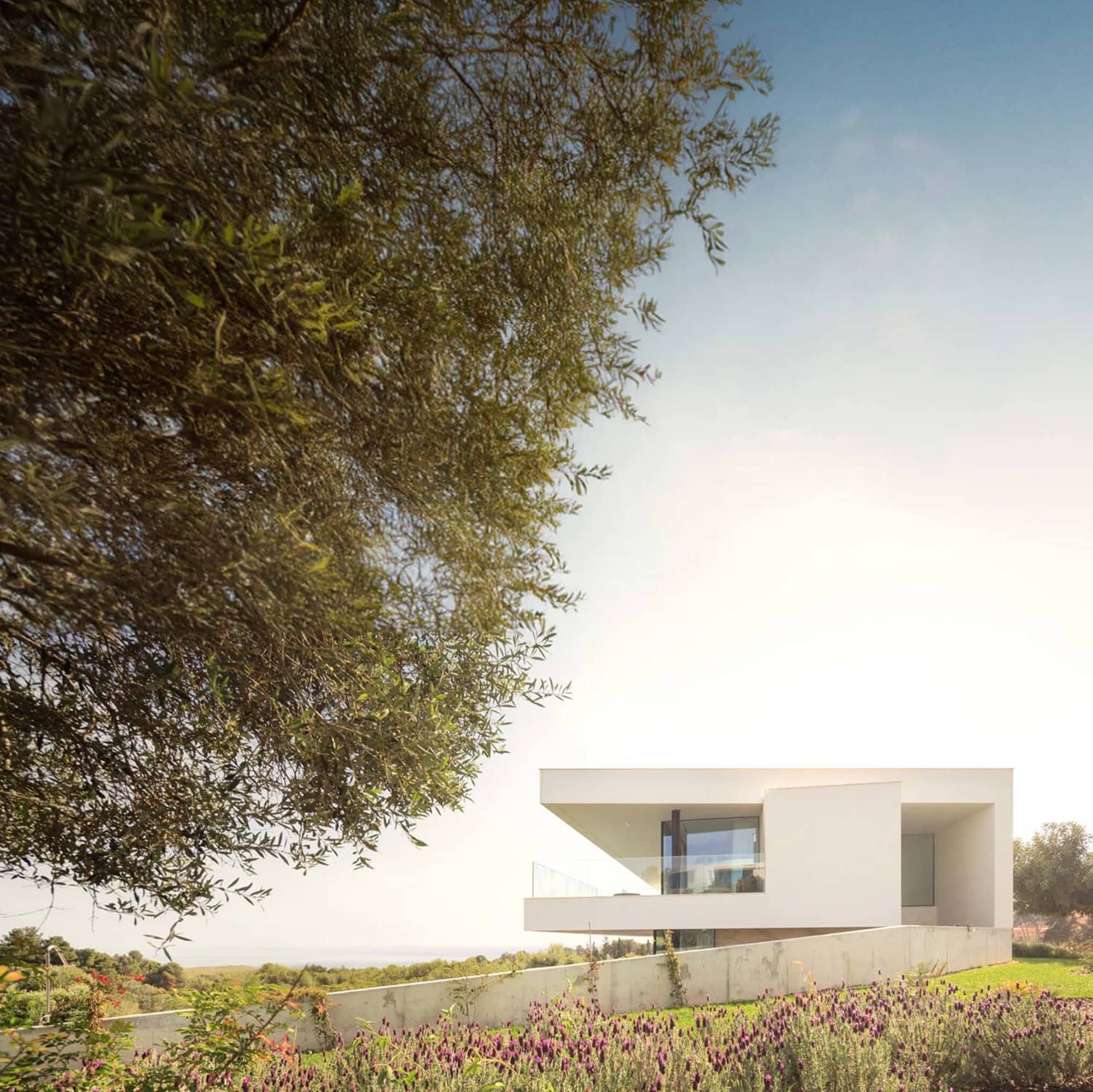 Modern house with a concrete exterior featuring extensive glass windows and a sloped roof.
