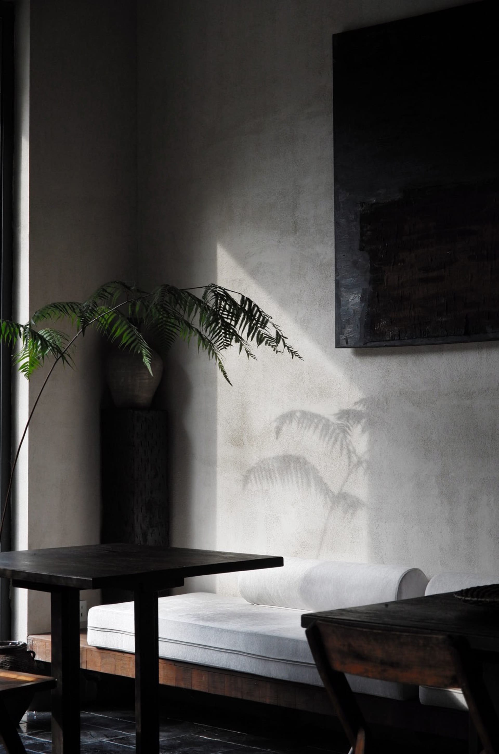 A minimalist living room featuring concrete furniture and flooring, with a large window and a plant casting shadows on the wa