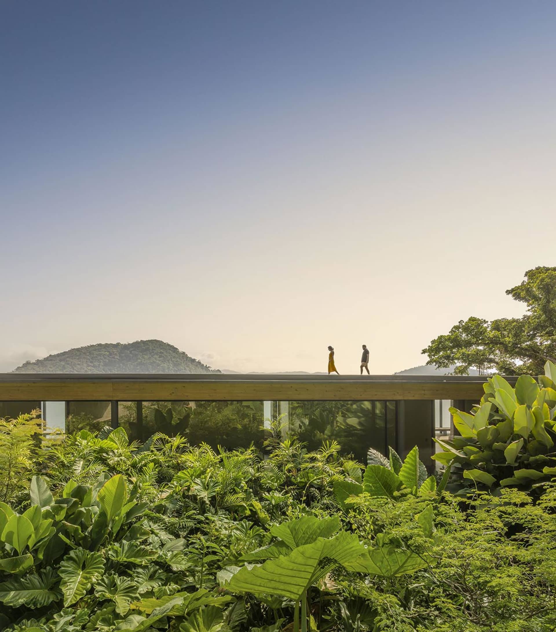 Two people walking along a modern glass roof with lush greenery surrounding it.