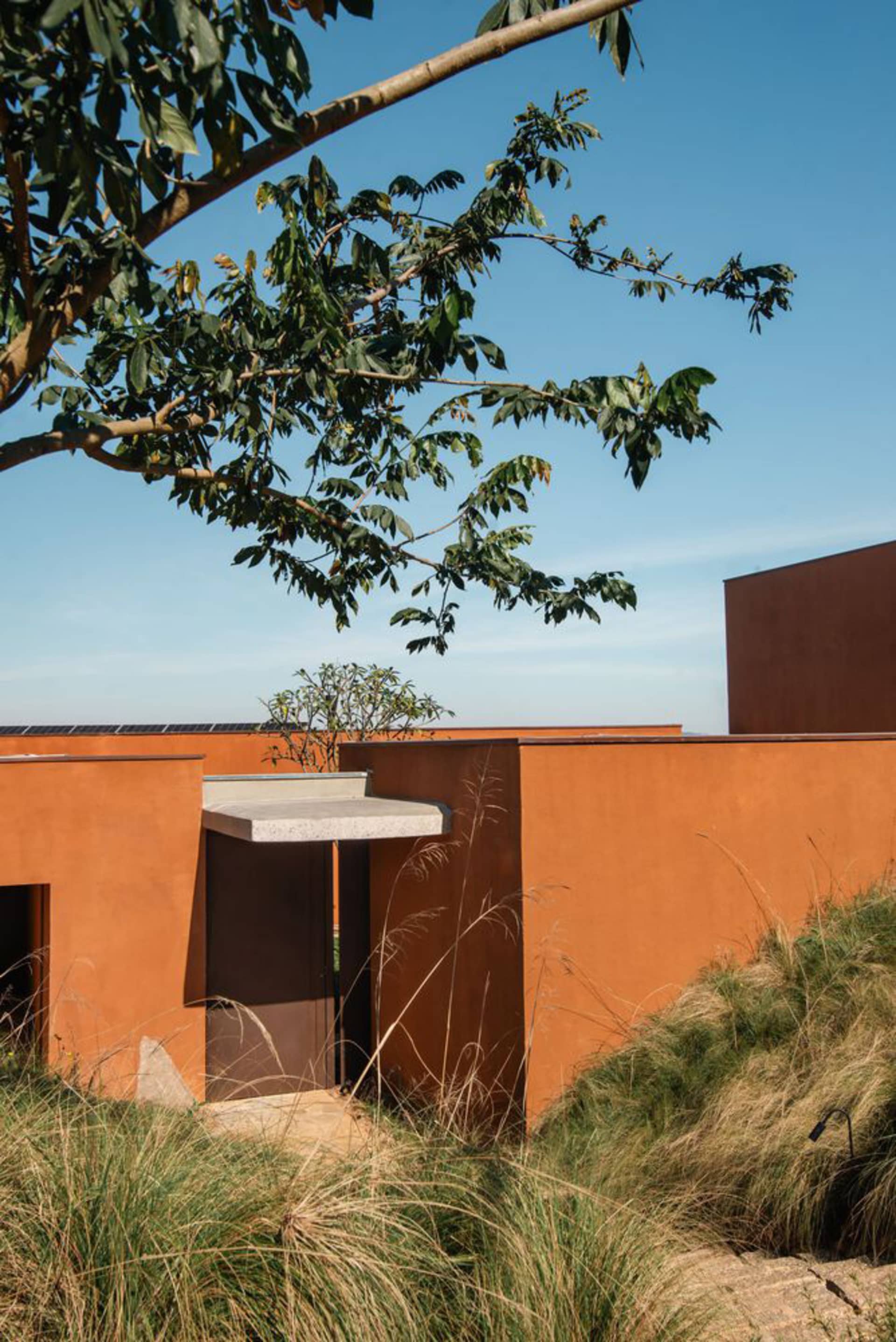A modern residential entryway with a concrete exterior and a tree nearby.