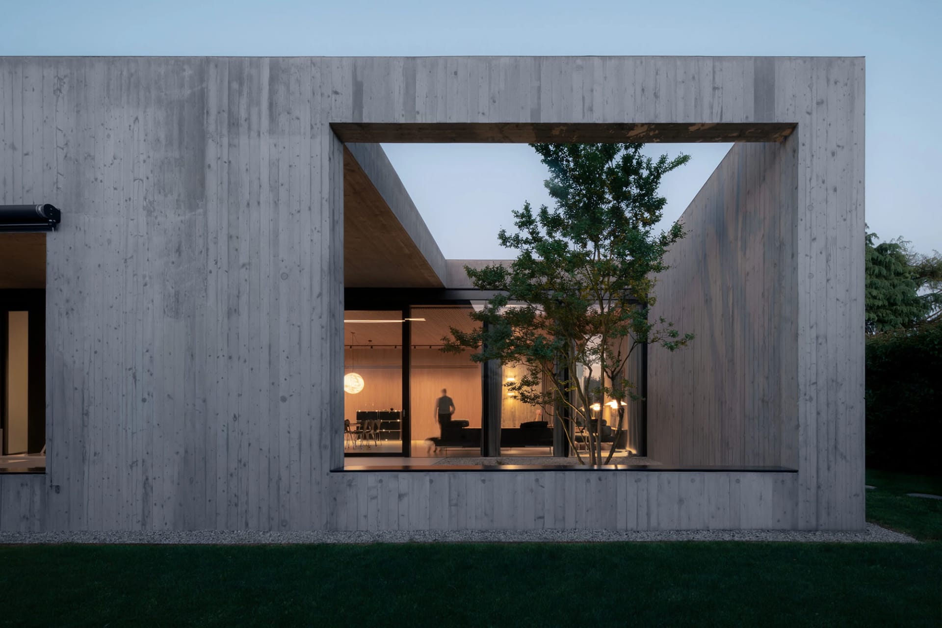 A modern house with a concrete exterior, featuring a large window and a tree planted within.