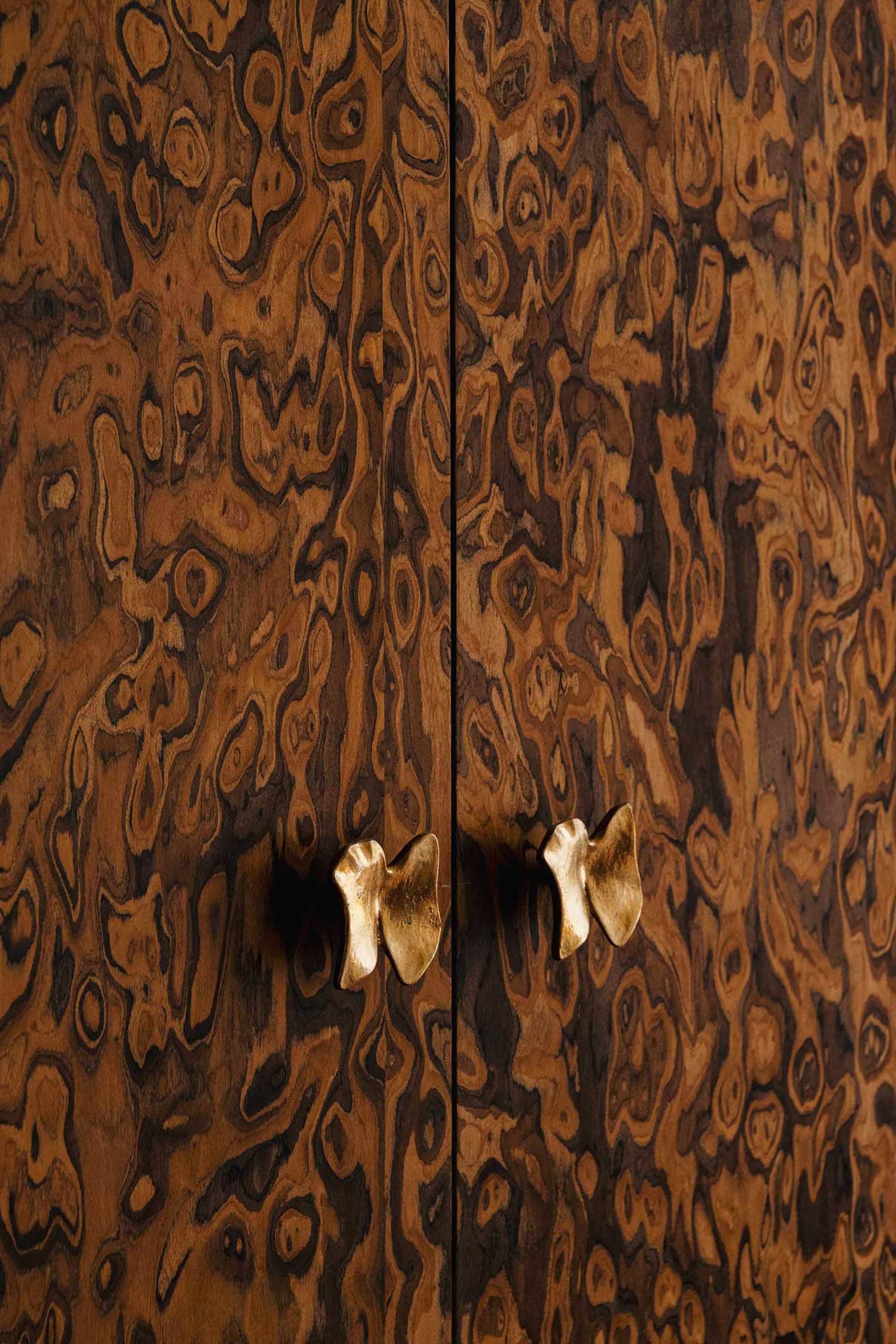 Close-up of a modern wardrobe crafted from burl wood