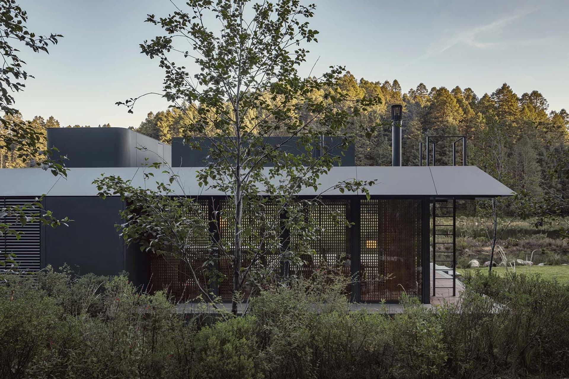 A modern house with a metal roof nestled in a natural setting.