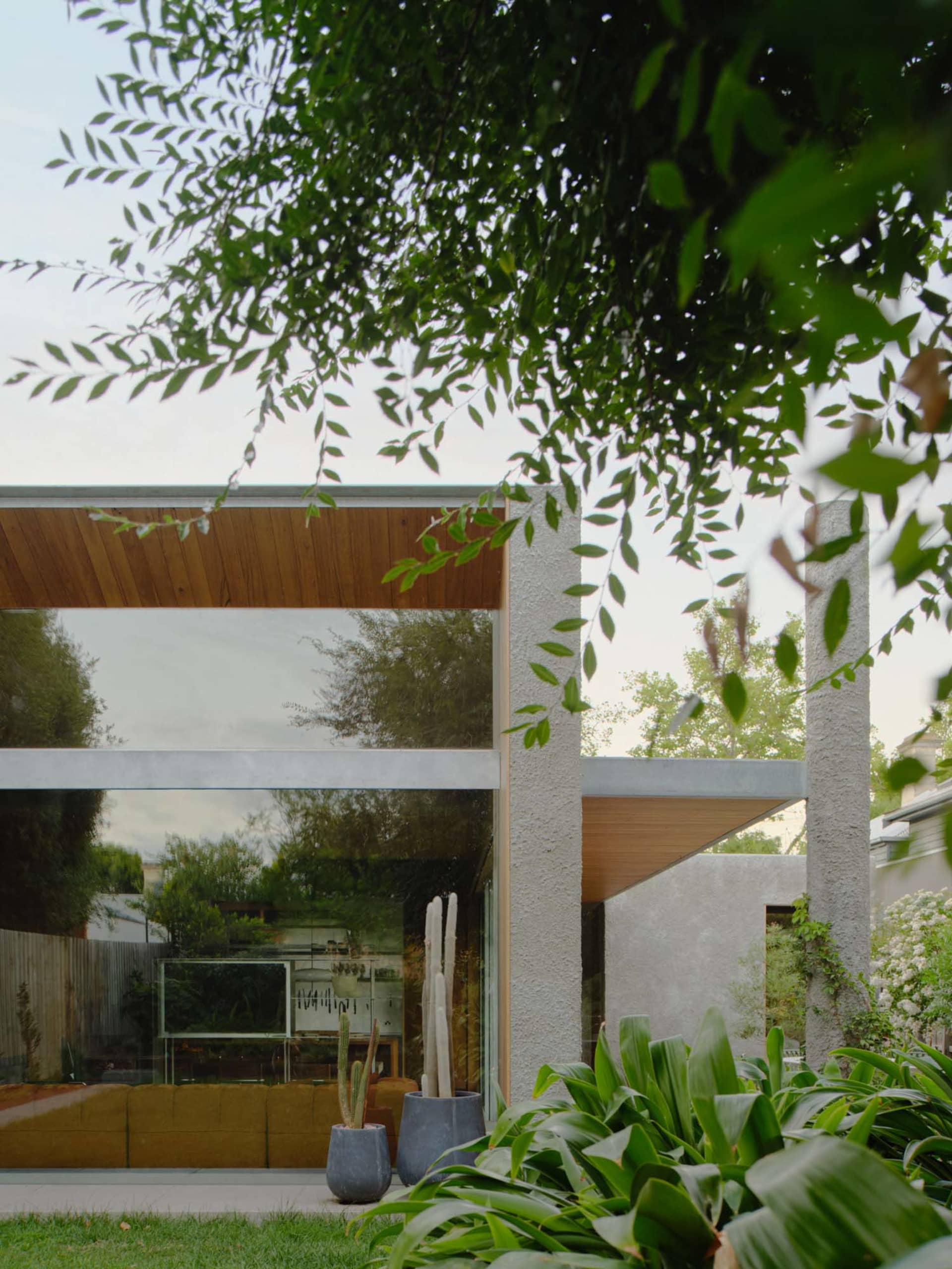 Modern frontyard with concrete pillars and glass walls surrounded by lush greenery.