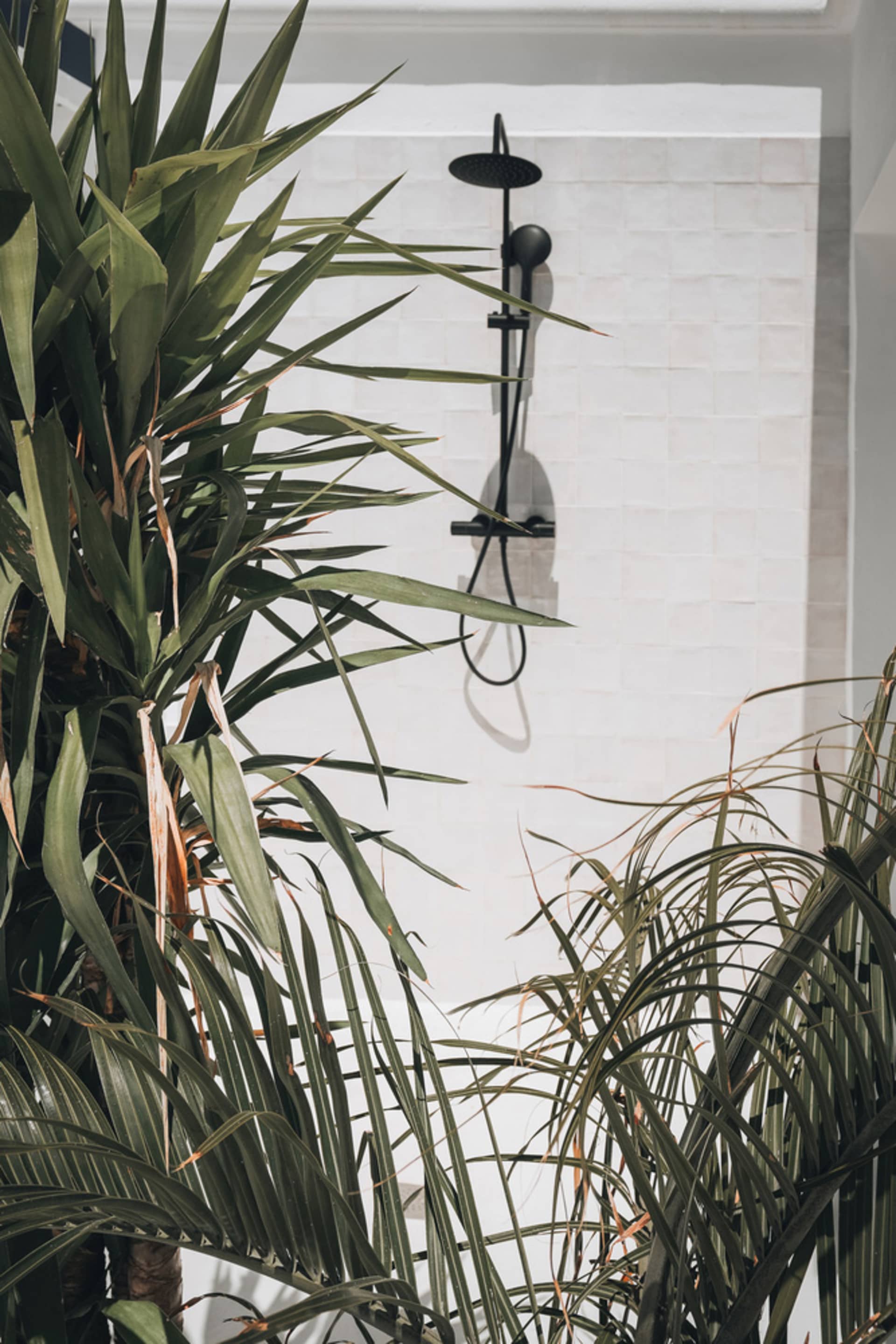 A minimalist bathroom with white tiled walls and lush green plants.