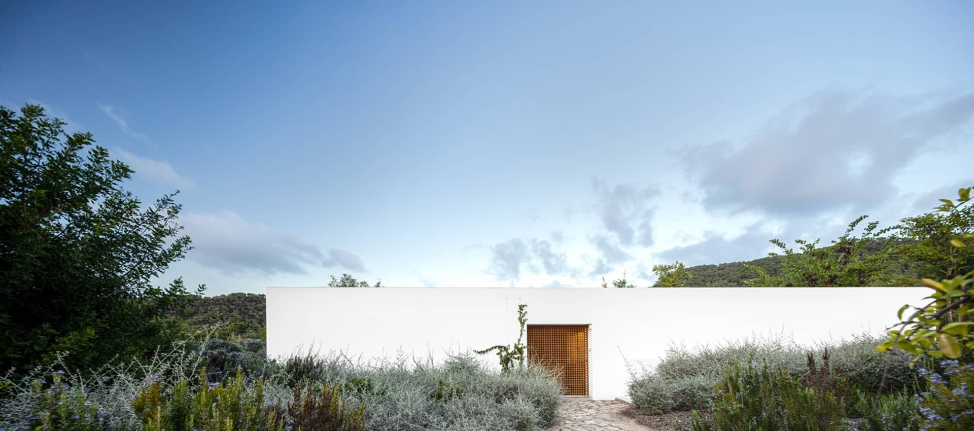 Modern exterior of a building with white cement walls, a concrete planter, a wooden door, and green vegetation.