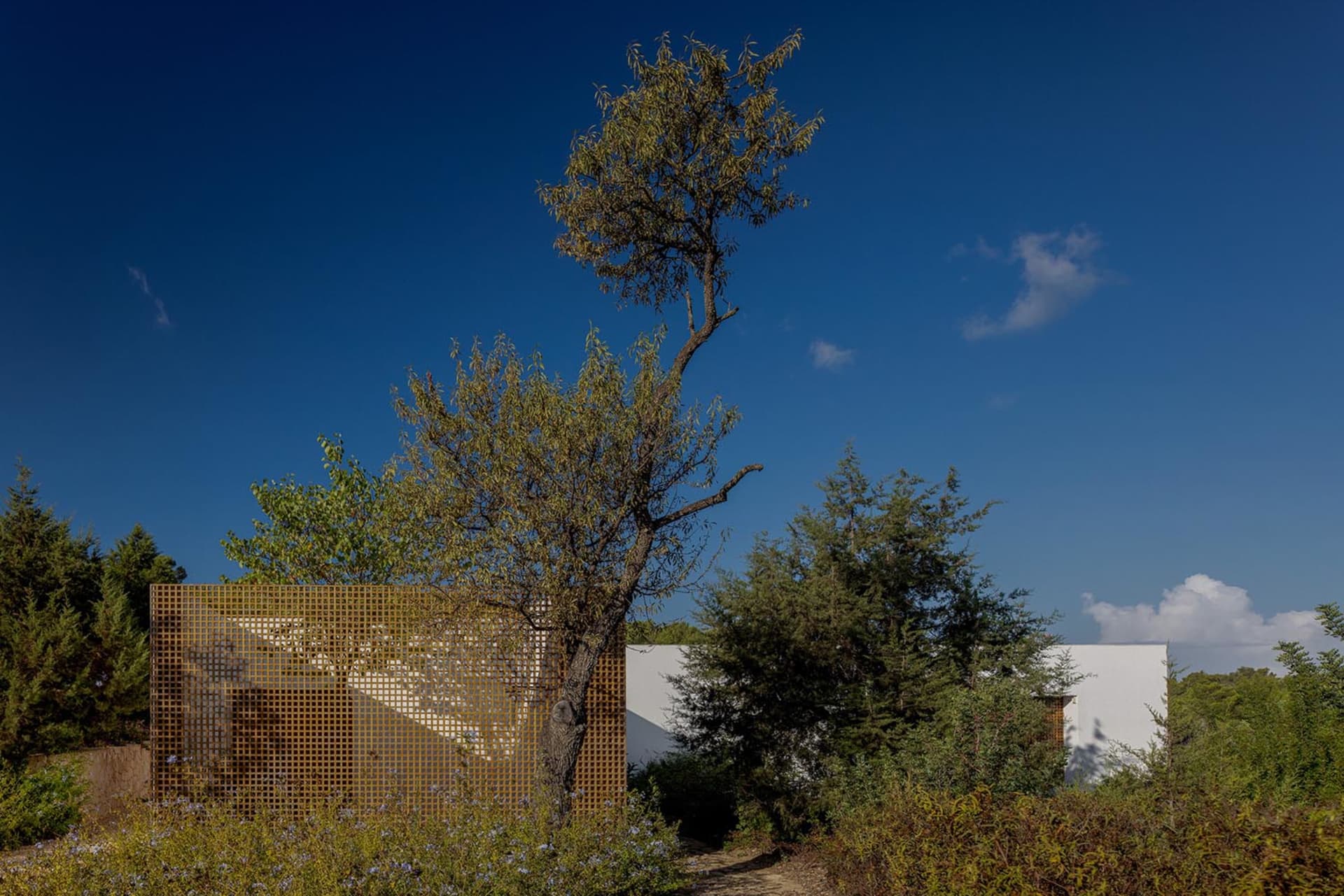A serene landscape featuring a variety of greenery in a natural setting with a clear blue sky.