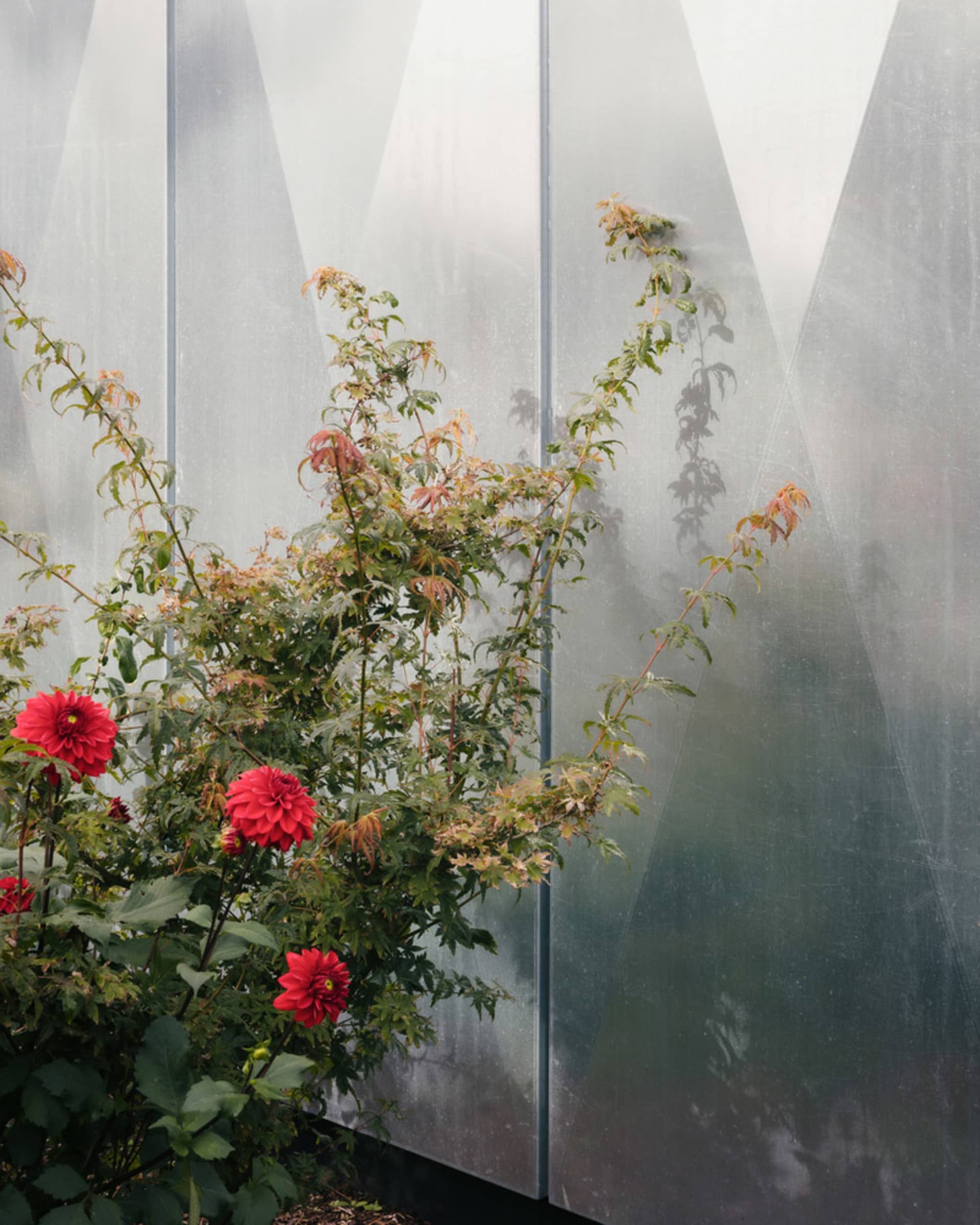 Industrial-style greenhouse frame featuring greenery against a metallic surface