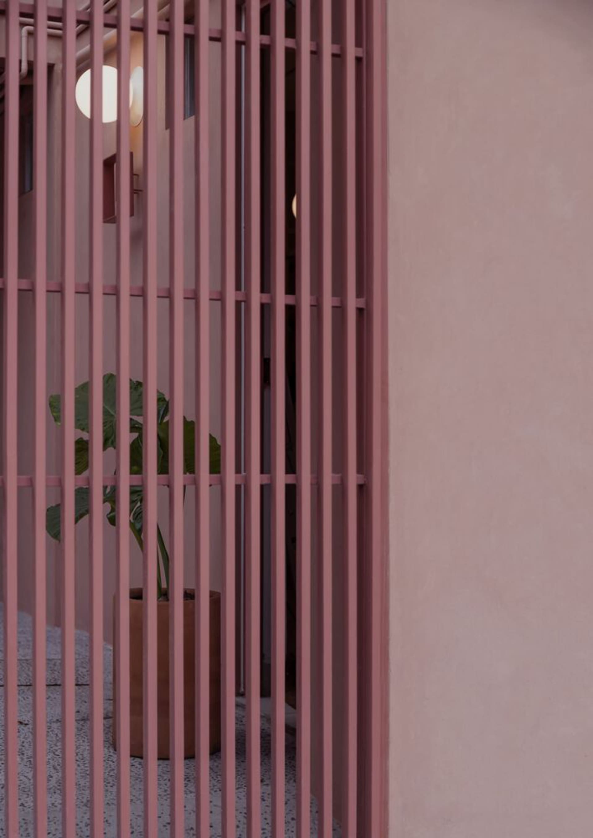A pink metal grid with a plant in the background.