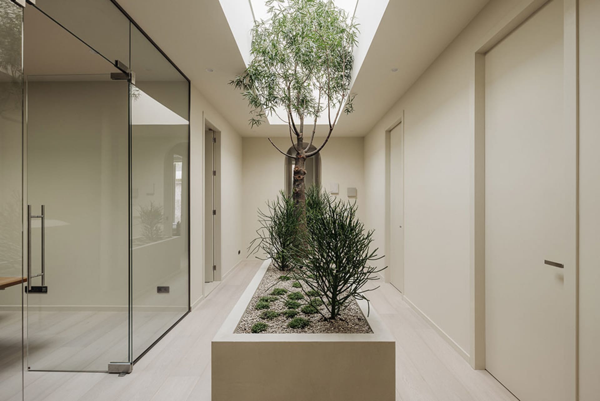 A minimalist hallway features a low, rectangular planter with small trees and rocks, framed by white walls and a glass door.