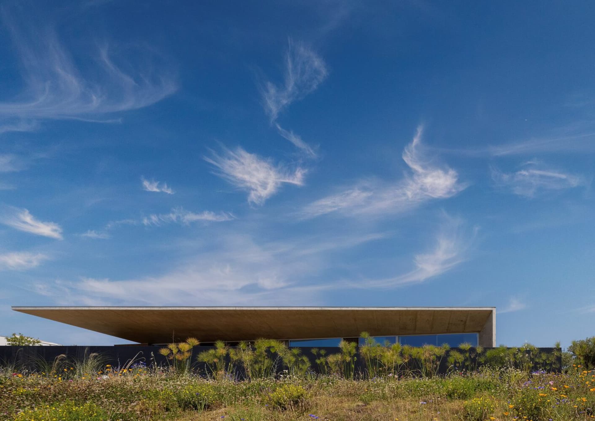 A modern house with a concrete facade and a flat roof.