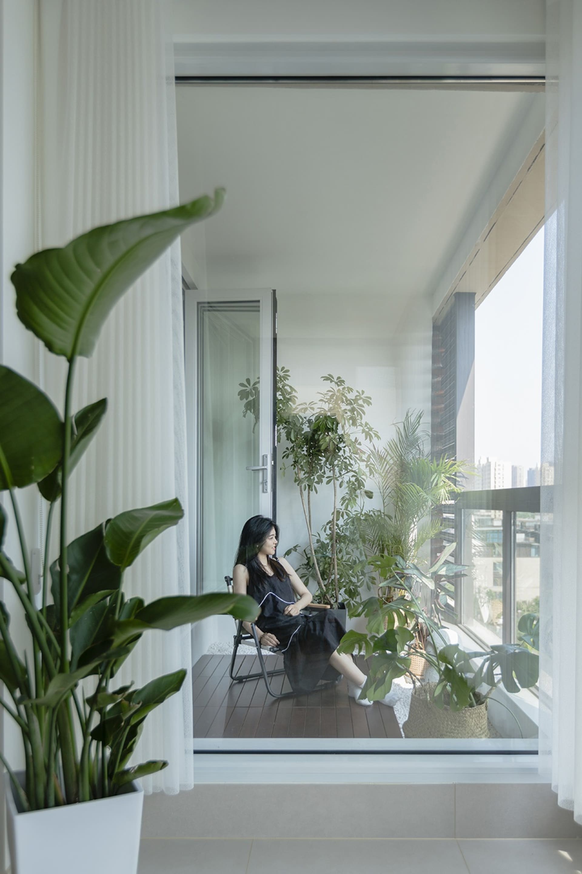 現代客廳空間，擺放多種室內植物。