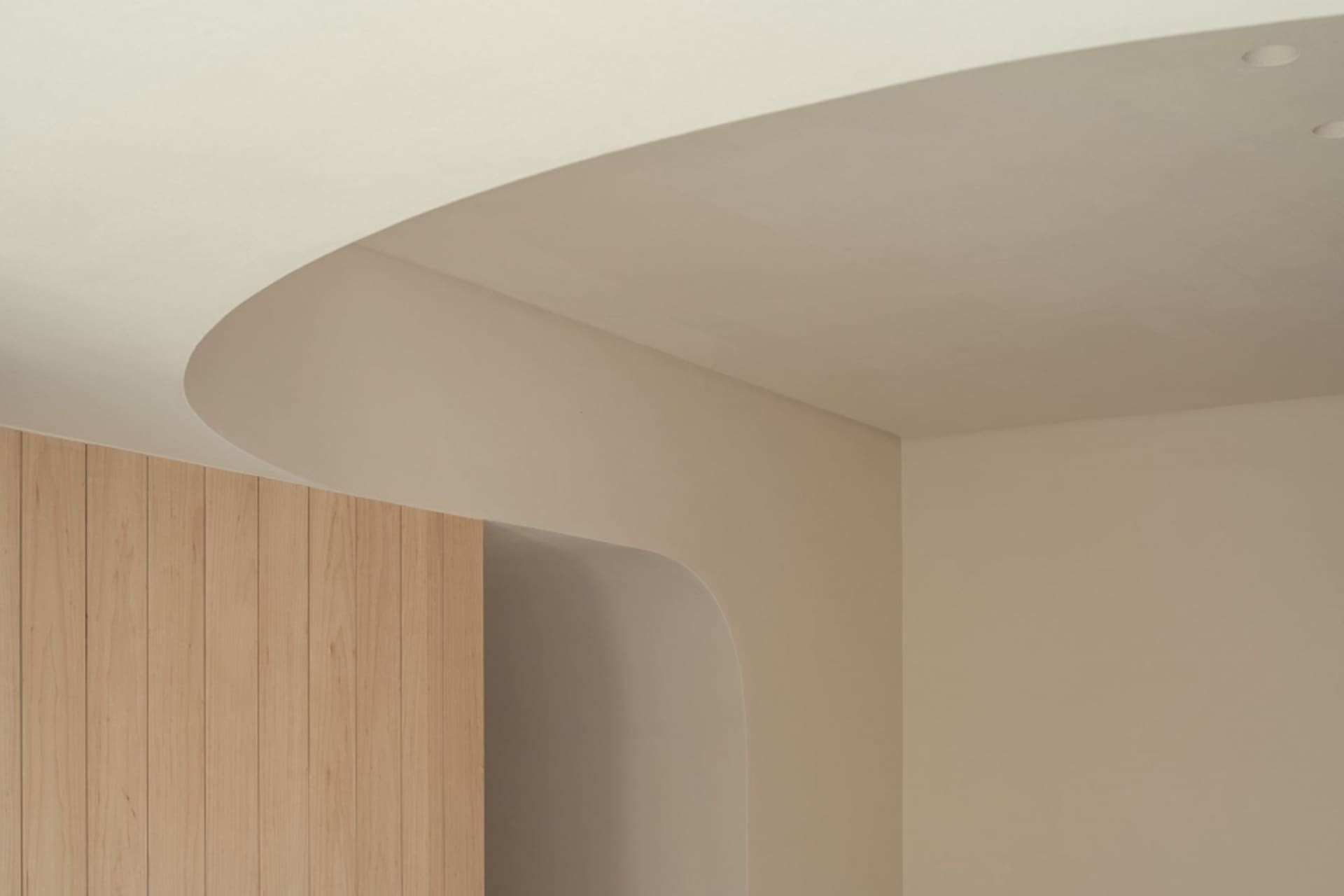 A modern interior design featuring a curved concrete ceiling and wooden paneling.