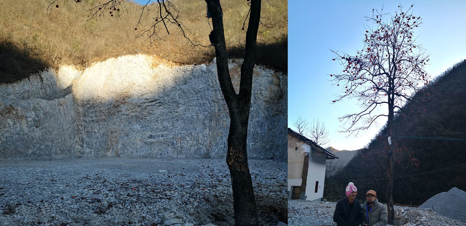 鄉村景觀，呈現石崖與結滿紅色漿果的樹木。