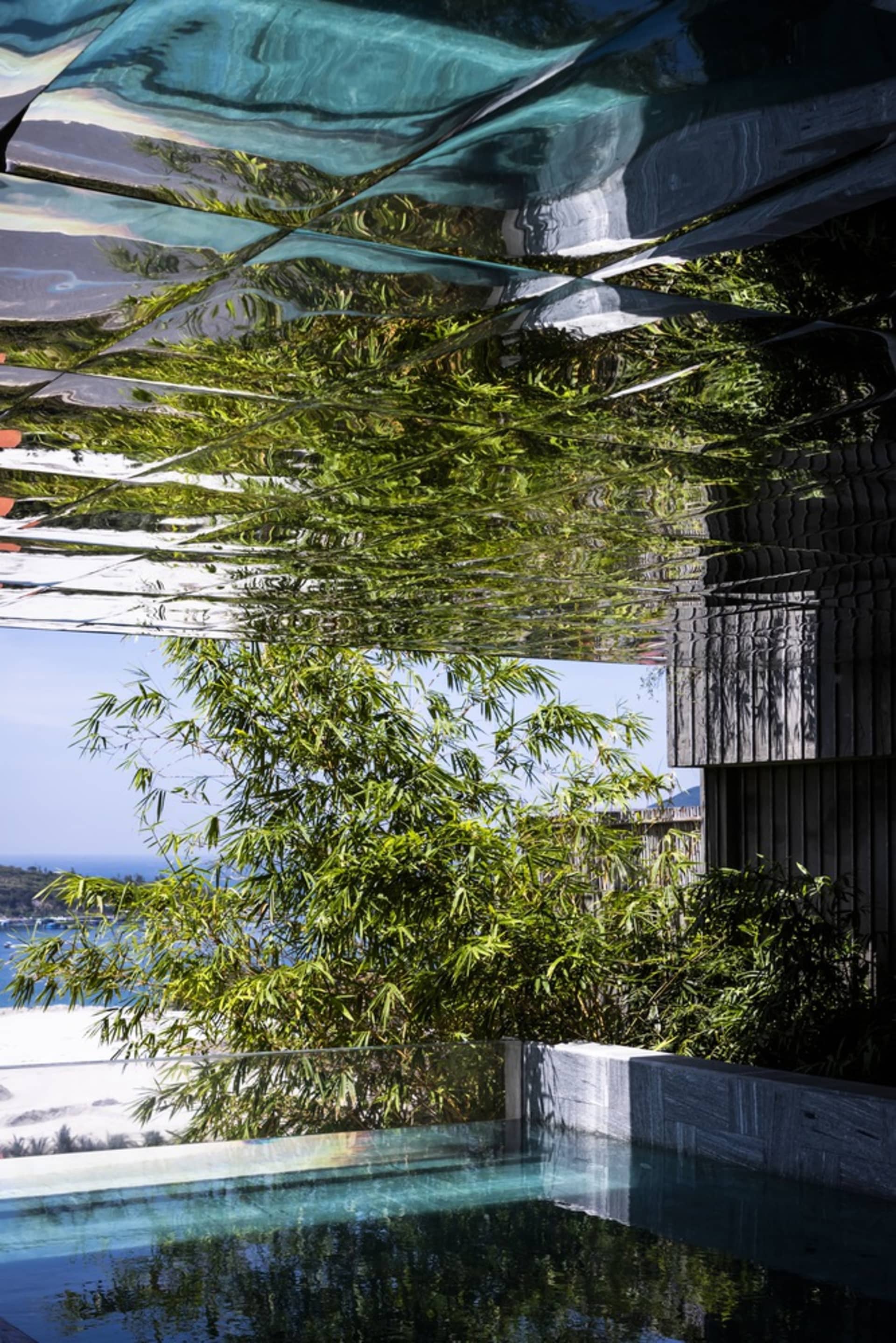 Bamboo trees reflected in a glass roof with a swimming pool below.