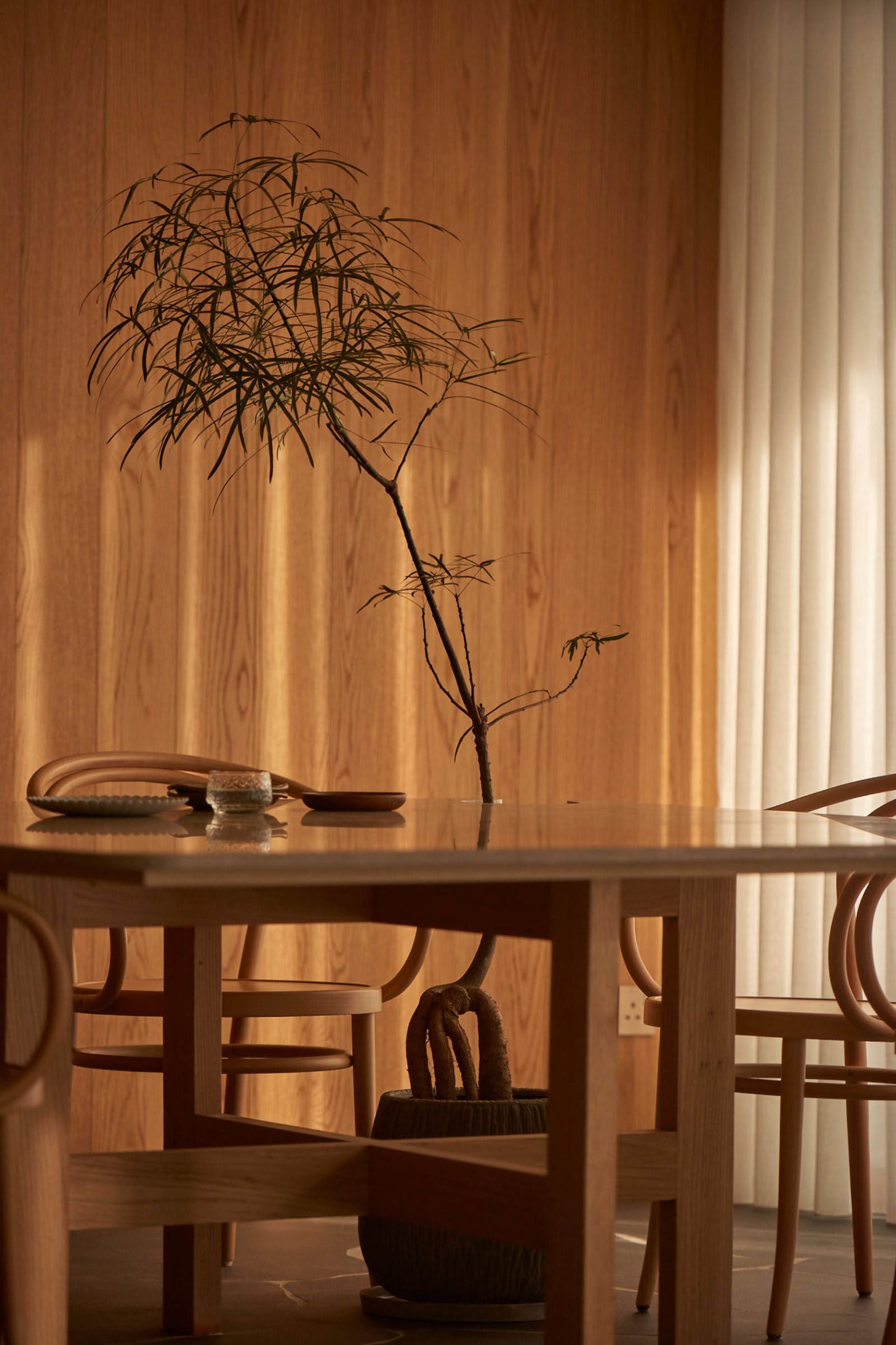 A modern dining room featuring wooden furniture and a potted plant.