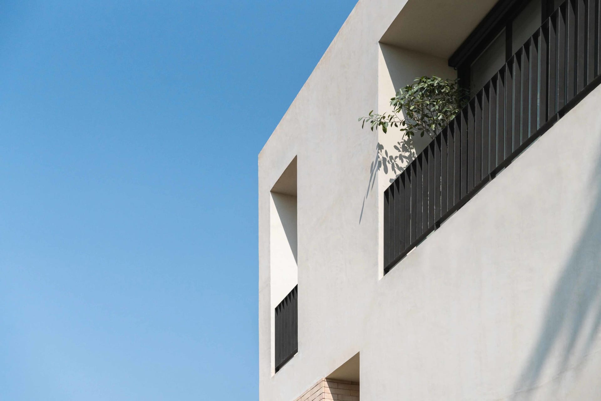 Modern building exterior featuring concrete architecture, window details, and a plant growing through a window.