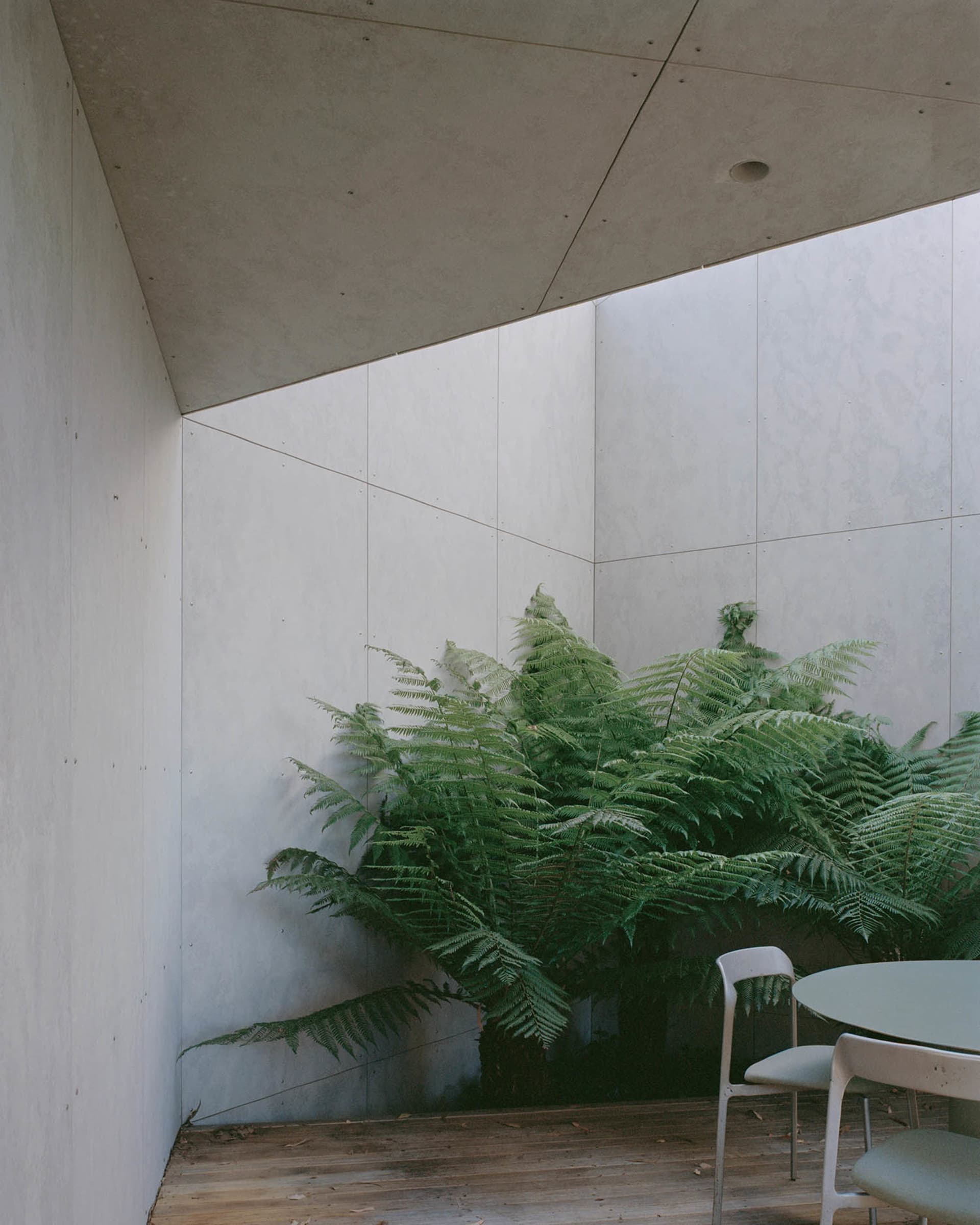 A modern indoor plant corner made of concrete.