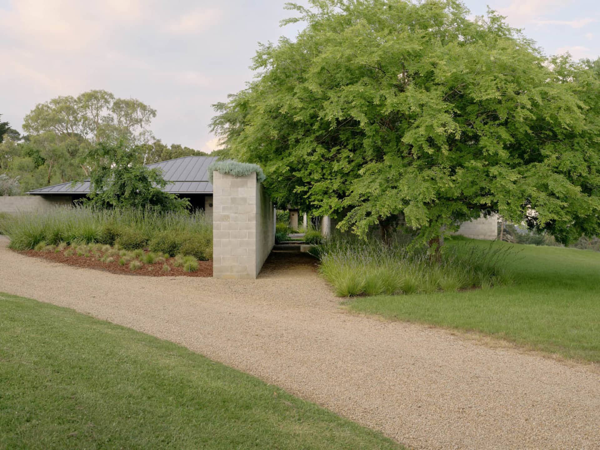 Concrete driveway, greenery, and modern house exterior.