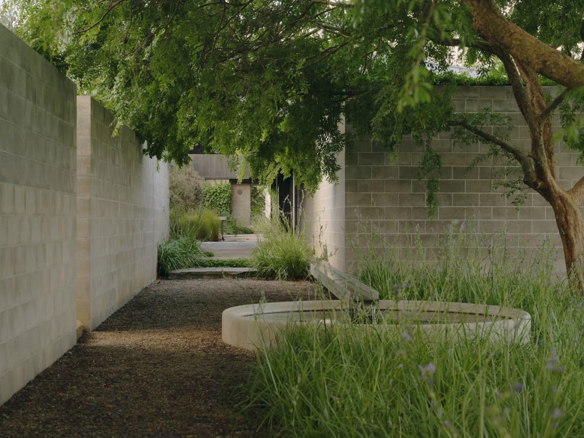 A modern garden featuring concrete pathways, tall grasses, and lush foliage.