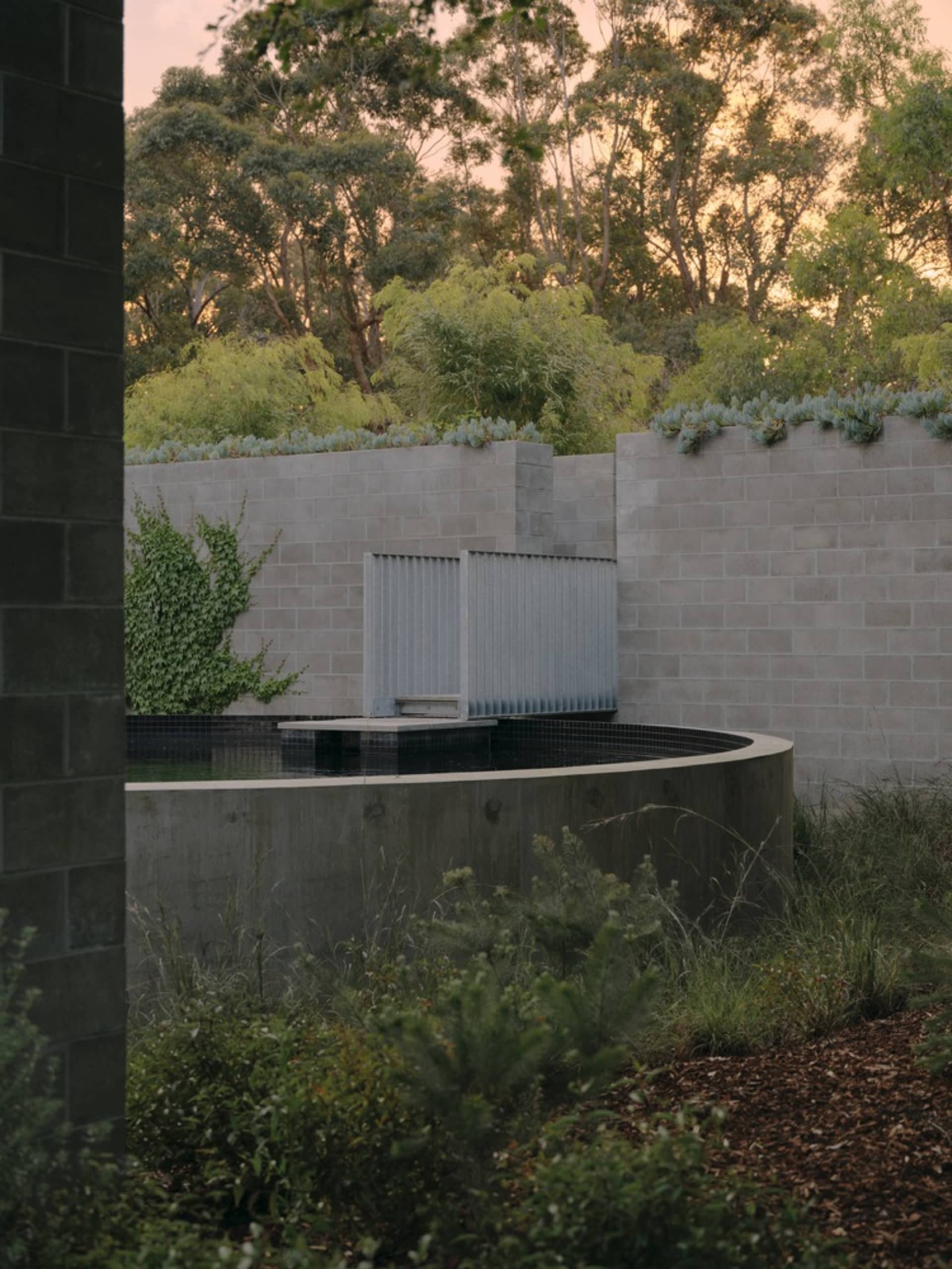 A modern minimalist landscape featuring a circular concrete edge with a water feature and lush greenery.