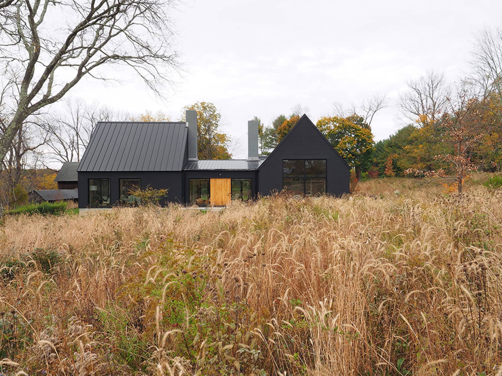 A minimalist black home with a metal roof and wooden door surrounded by tall grass and trees.