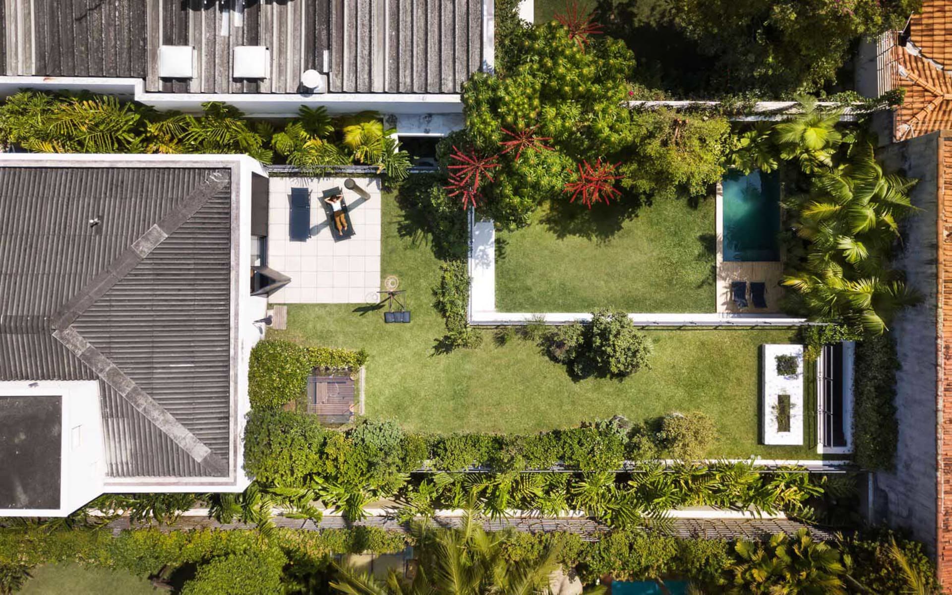 A modern backyard featuring a small pool surrounded by lush greenery and palm trees.