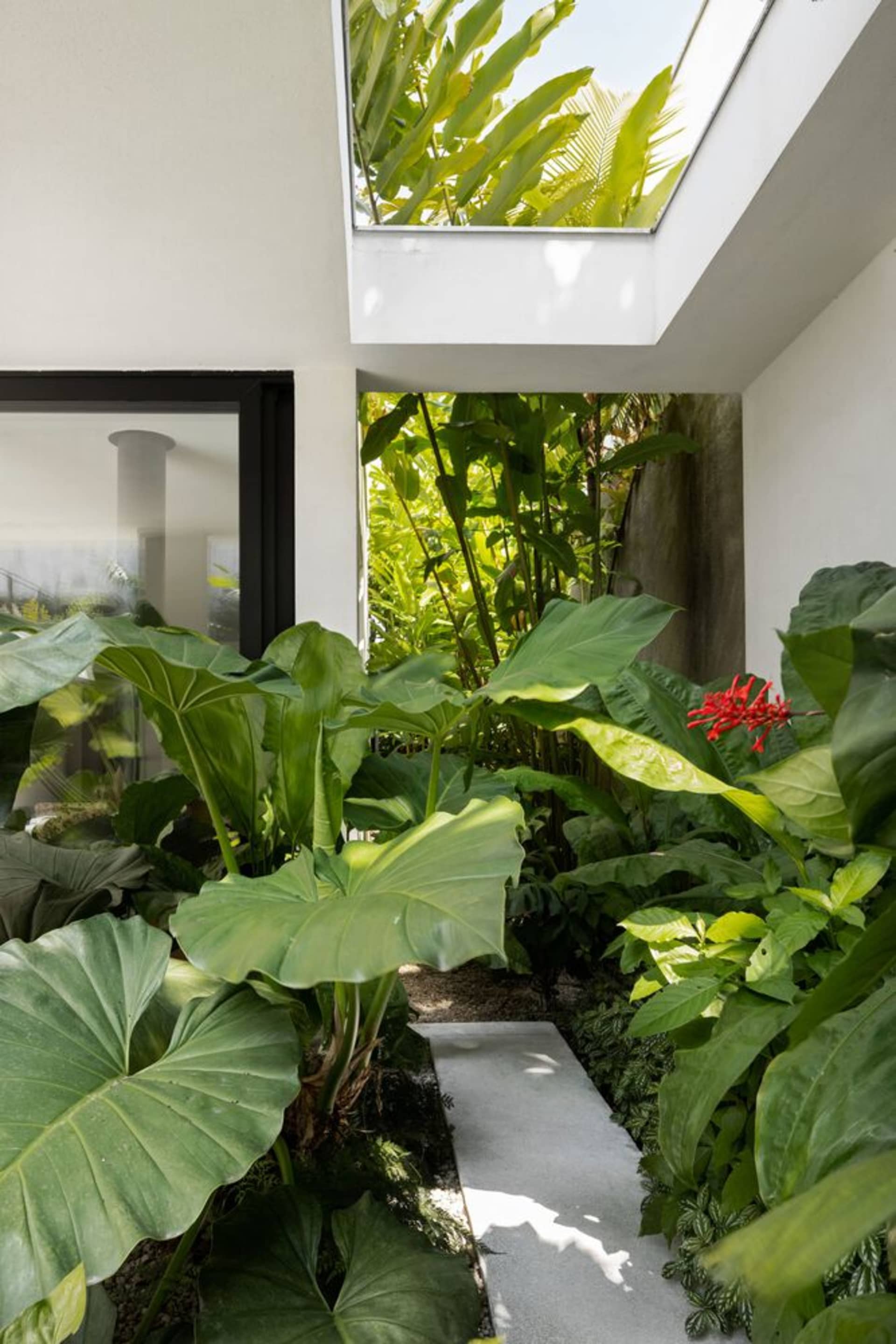 Modern interior design featuring concrete plants and landscape garden elements
