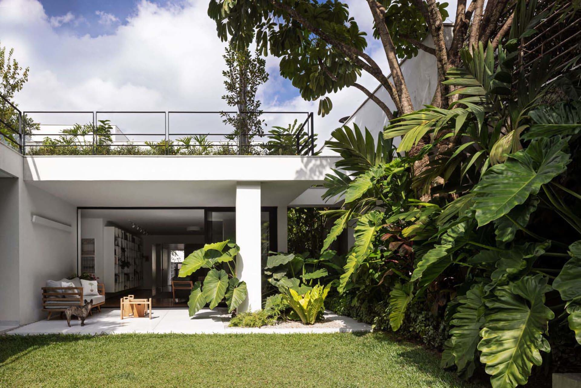 Contemporary white concrete residential exterior with lush green tropical plants and a minimalist balcony.