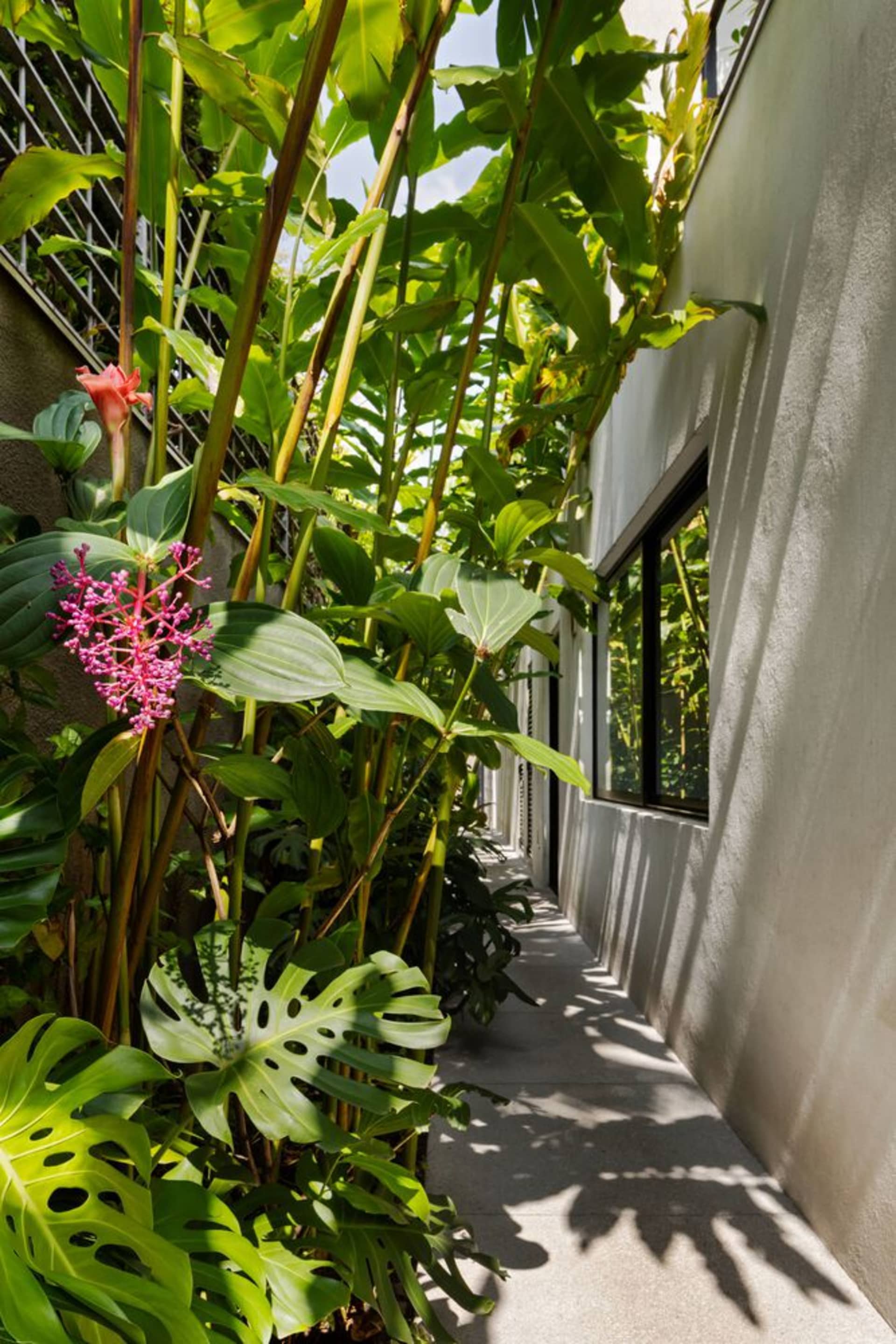 Modern residential interior with greenery and concrete materials.