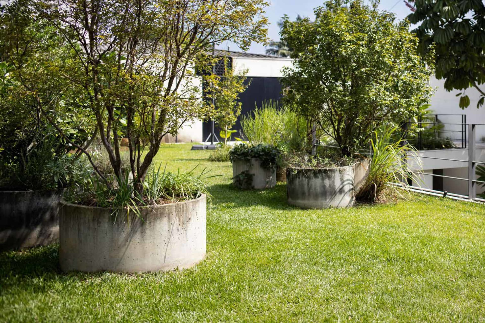 Well-maintained outdoor garden featuring concrete planters with lush green vegetation and grass.