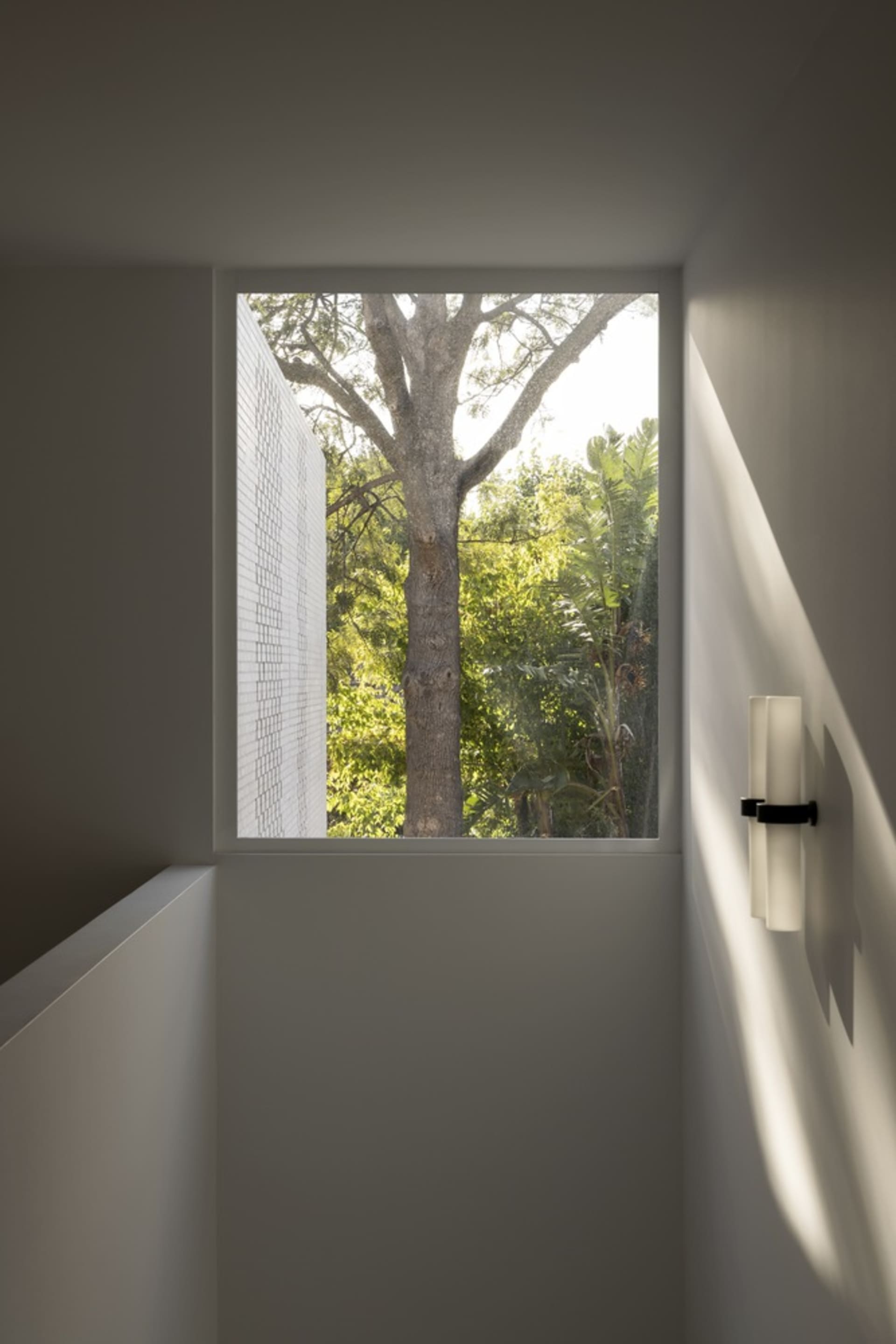 Minimalist window with glass walls overlooking trees.