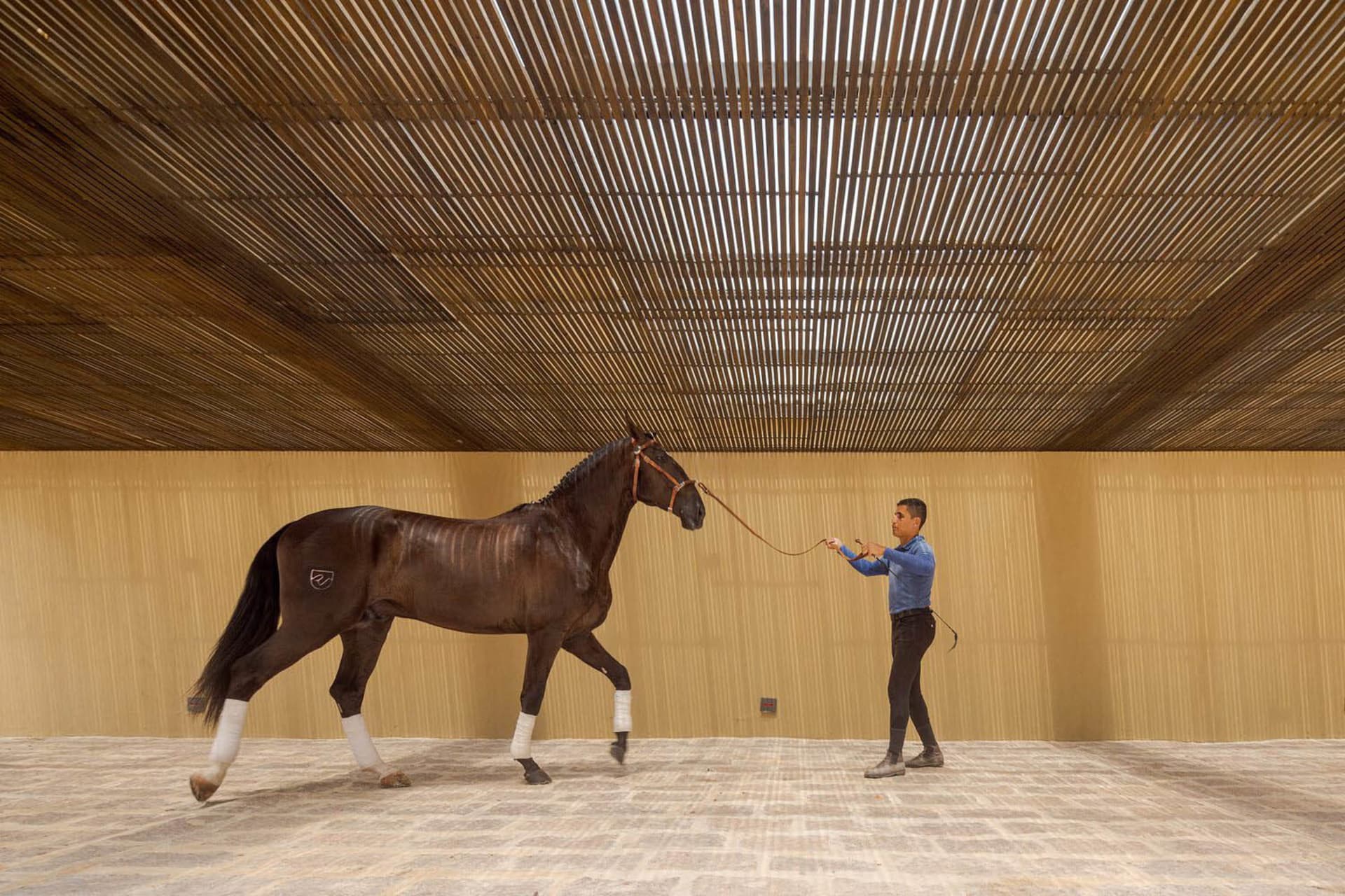 A man standing next to a brown horse in a covered pen with tiles on the floor