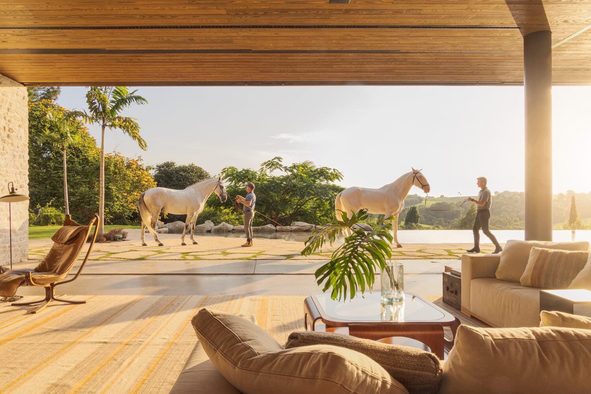 A modern living room featuring a concrete floor and wooden furniture, with a view of a horse outside and natural light stream