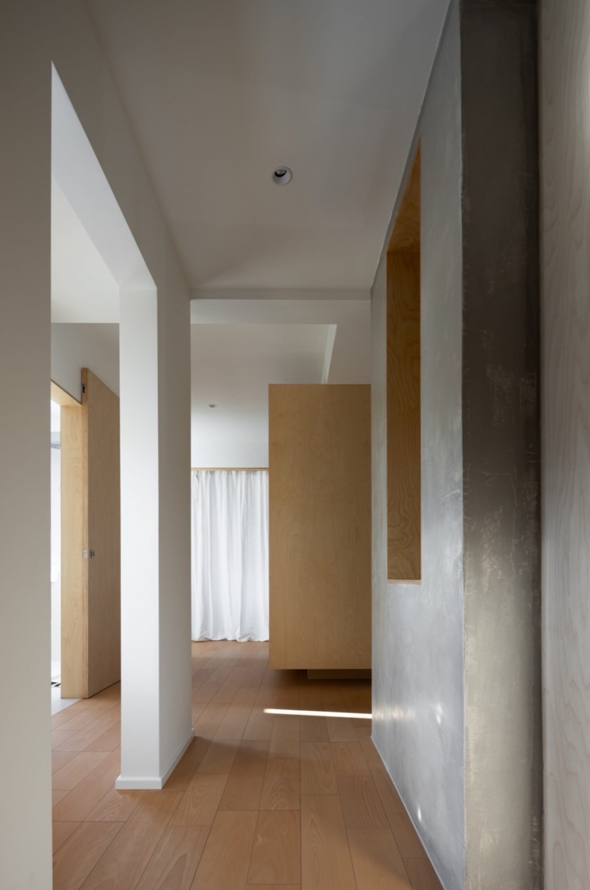 Modern minimalist hallway with wooden flooring and plaster walls