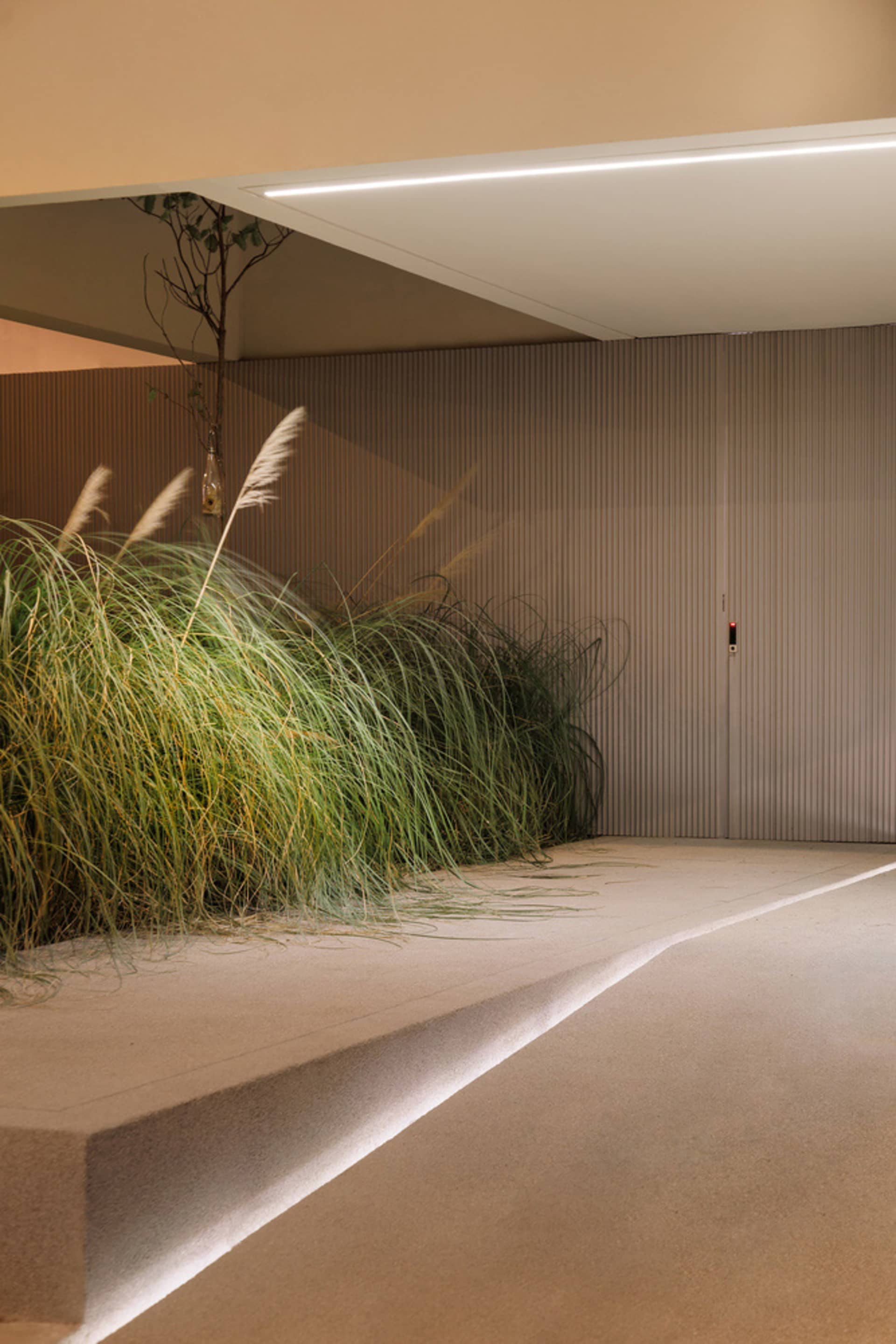 A modern interior design featuring a concrete space with green plants and minimalist lighting.