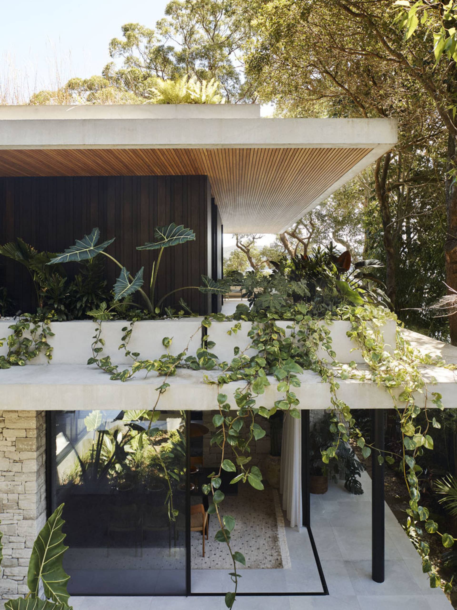 A modern residential terrace with plants and concrete walls and glass railings.