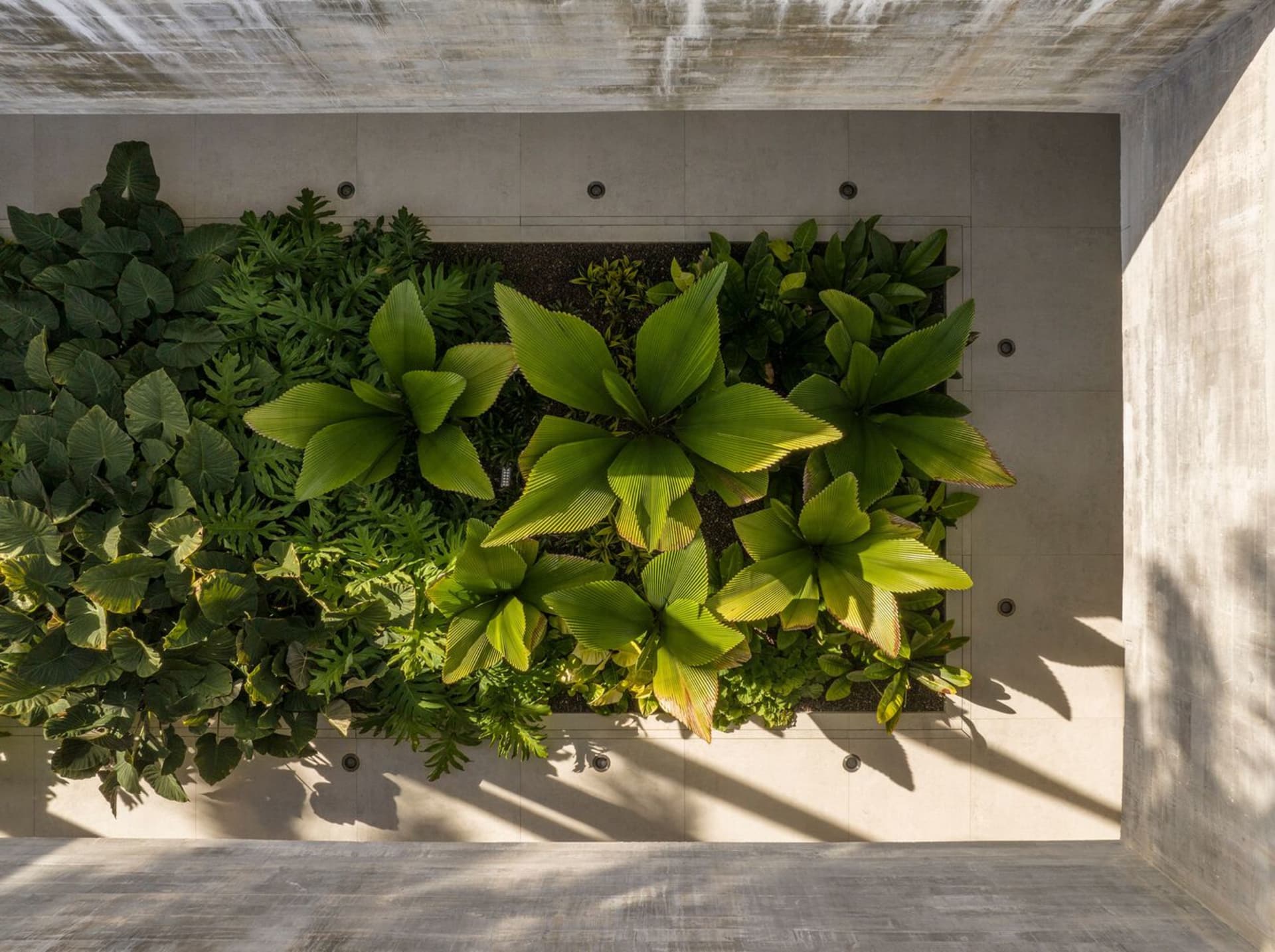 An industrial greenwall constructed of concrete.