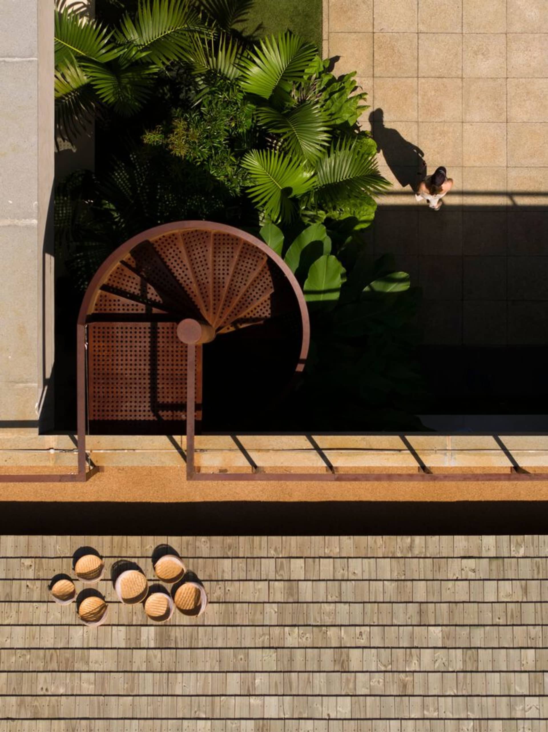 A modern outdoor space featuring a wooden spiral staircase, metal railings, and concrete paving.