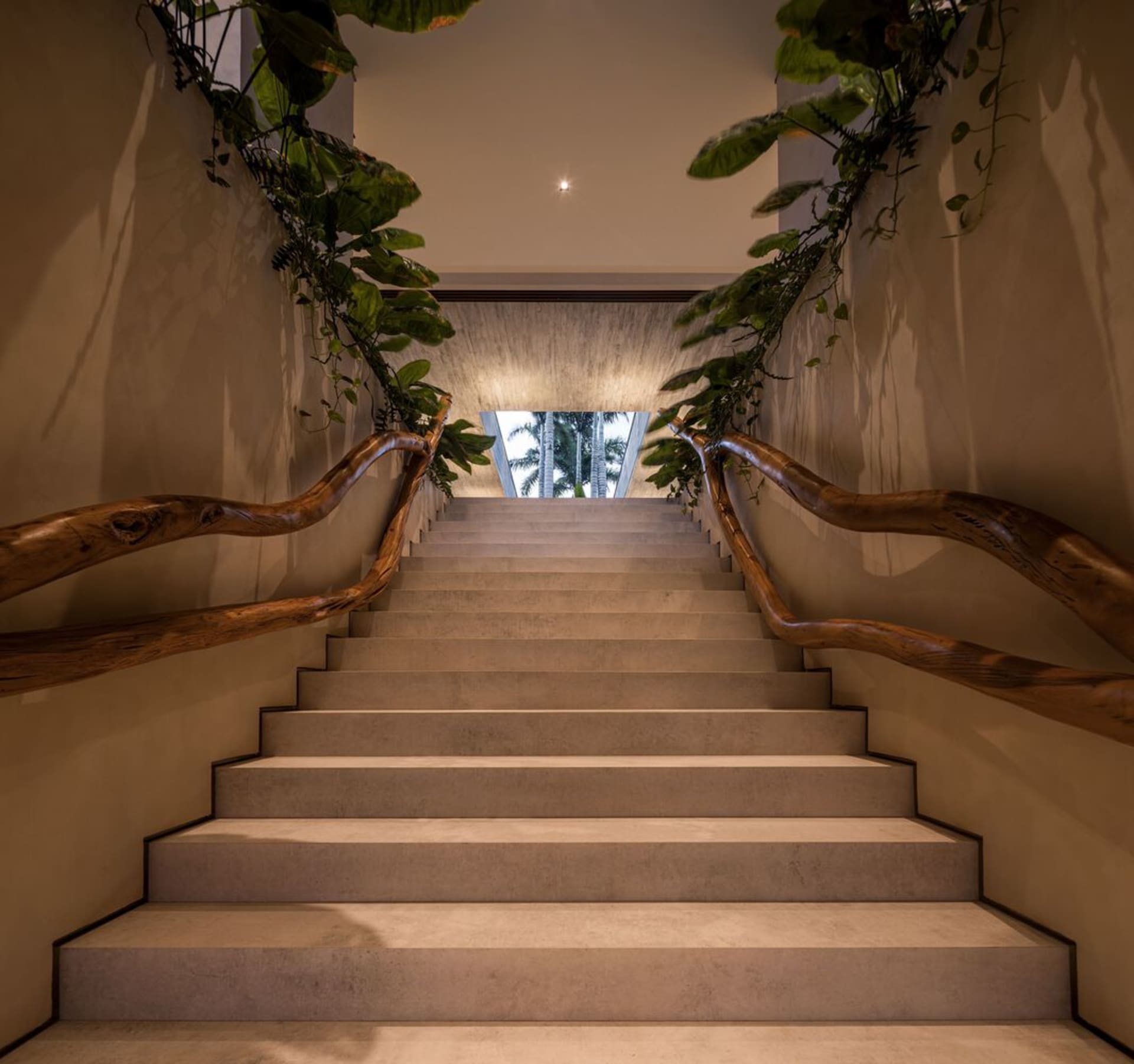 Staircase made of concrete and adorned with wooden railings and climbing greenery.