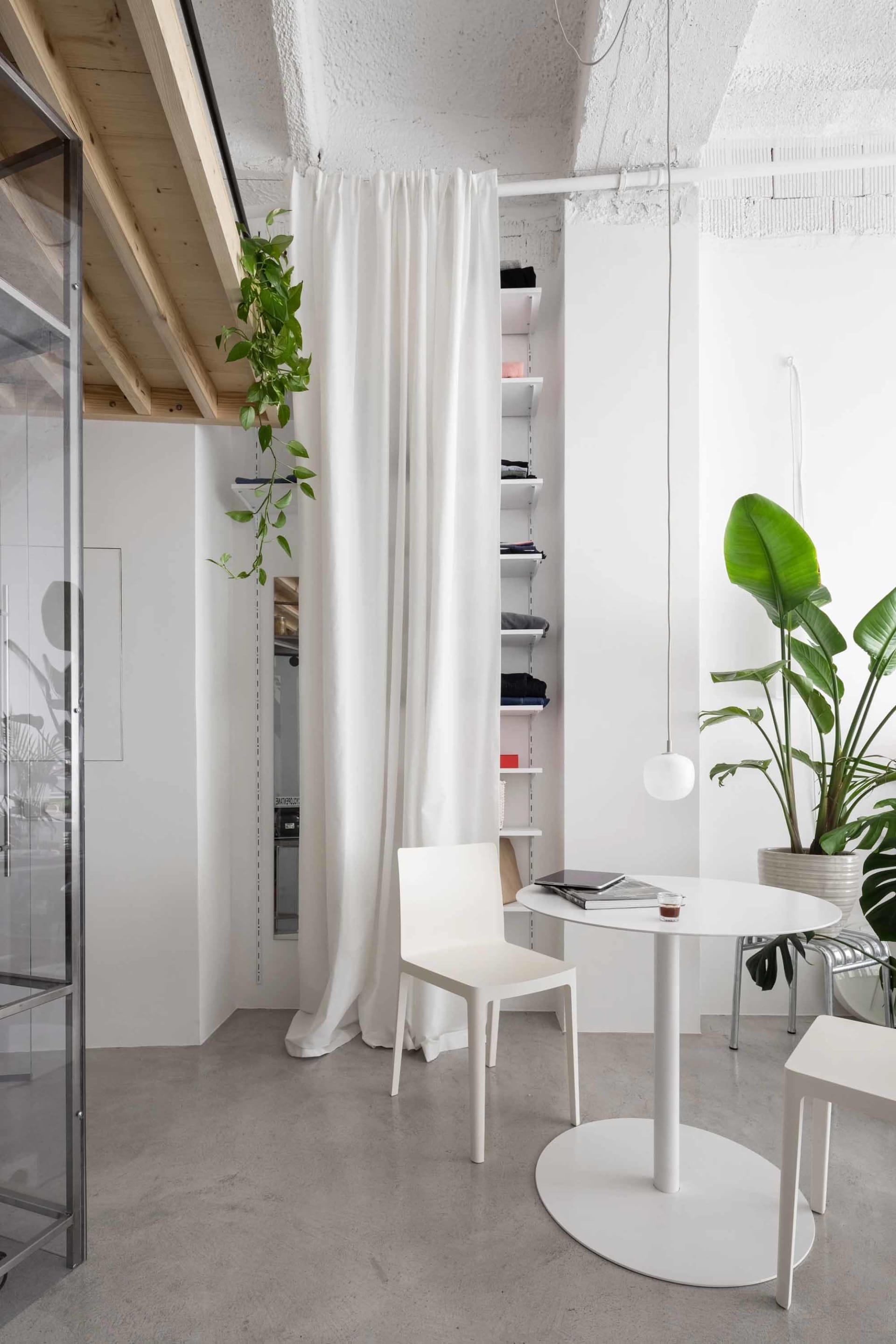A minimalist living space with concrete walls, a white chair, and potted plants.