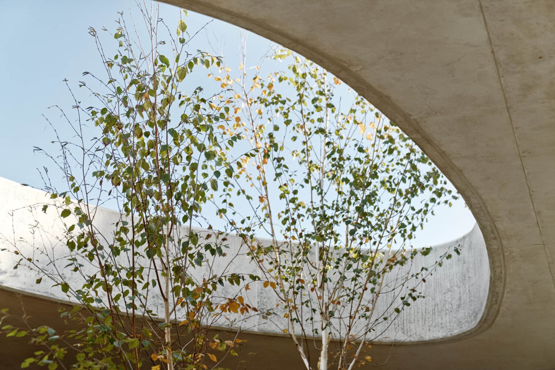 混凝土建築結構搭配綠意植栽