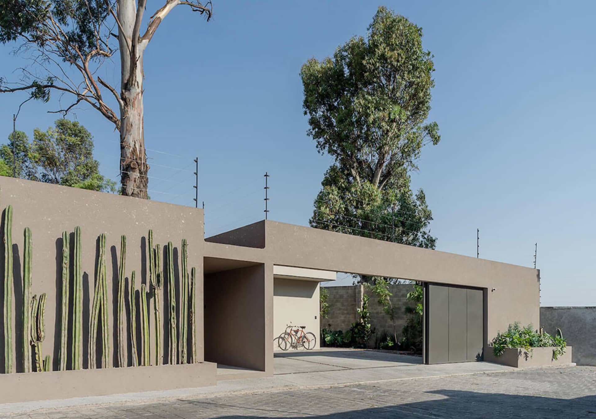 A minimalist concrete garage with a modern design and green cactus plants on the wall.