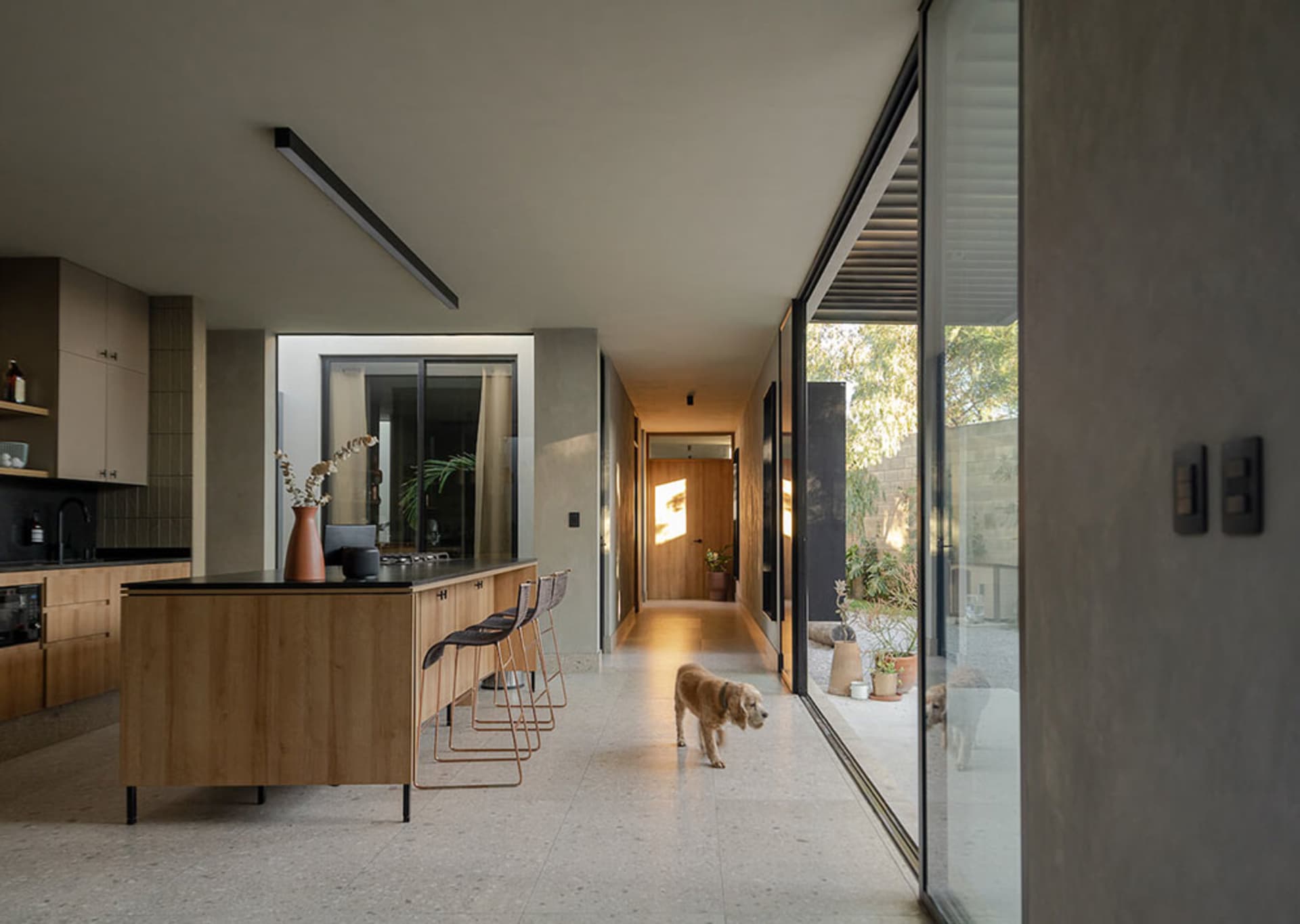 A modern residential interior with wooden and concrete surfaces, a kitchen island, and a dog walking in the hallway.