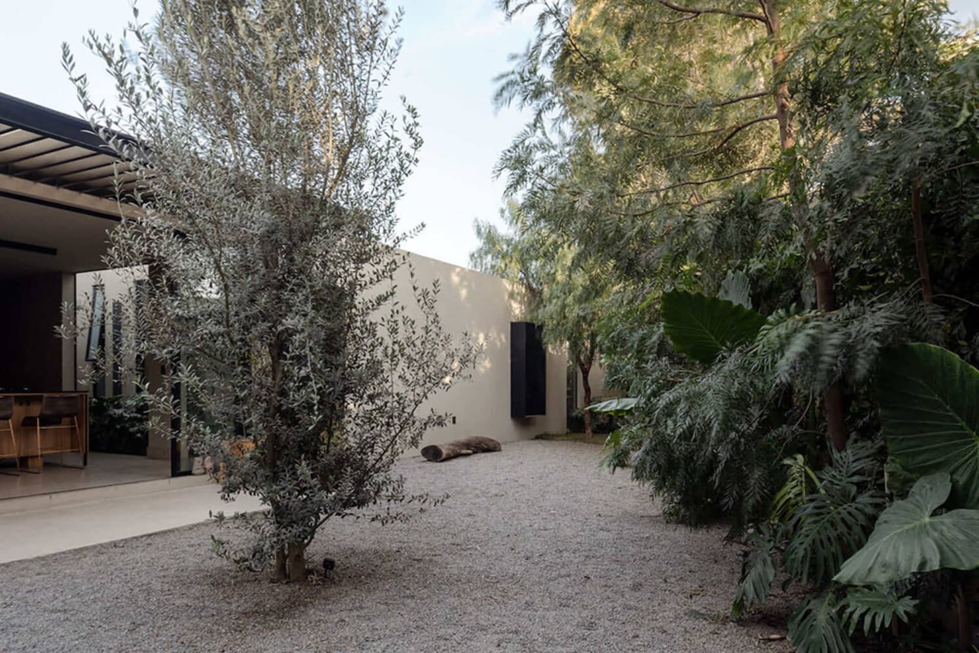 A modern landscape featuring a concrete path surrounded by greenery and trees.