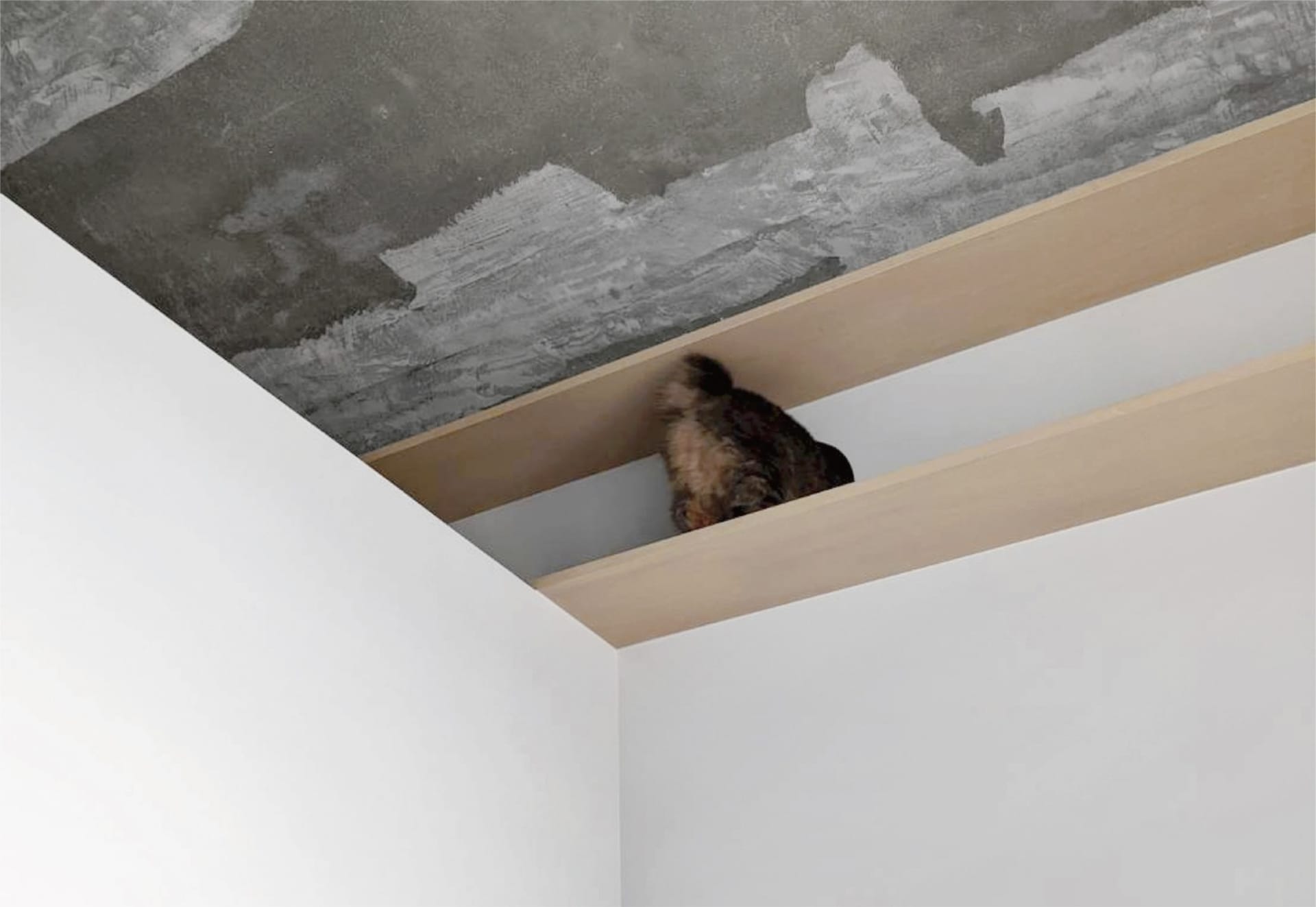 A white room with concrete walls and ceiling.