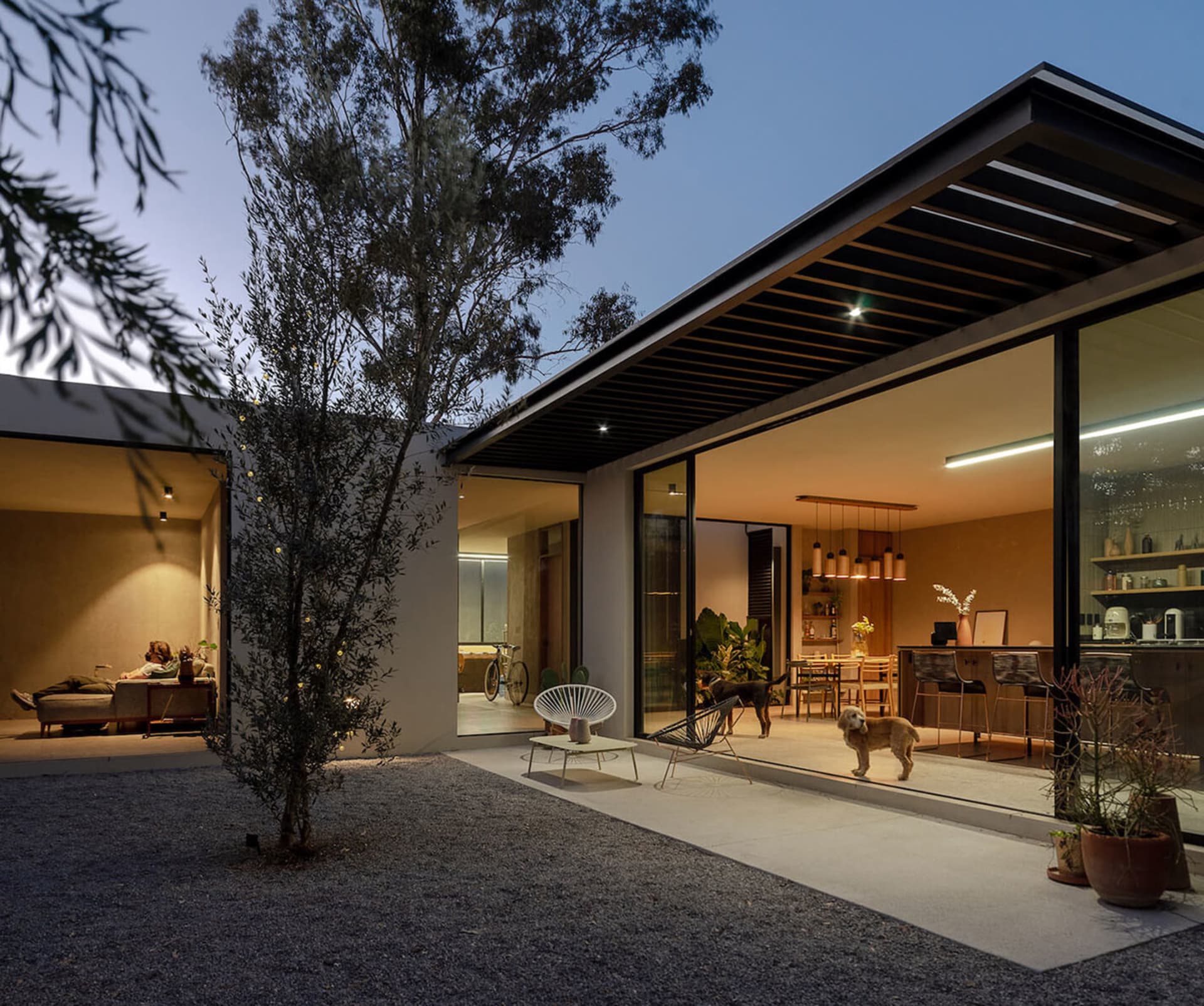 Modern house exterior with concrete finish and a tree in front of it.