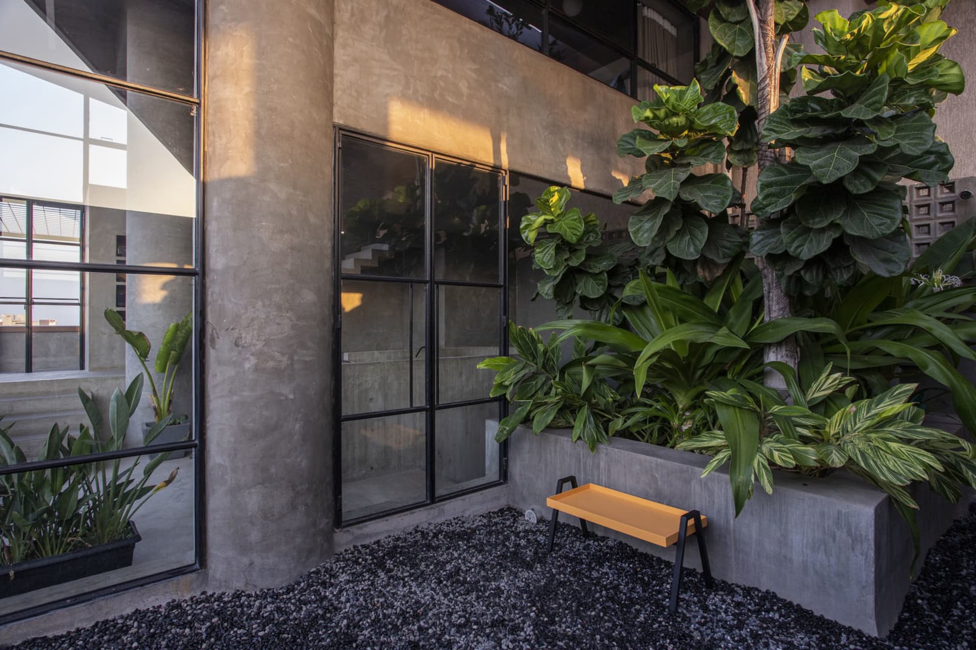 A minimalist garden with concrete and glass planters, showing a modern industrial design style.