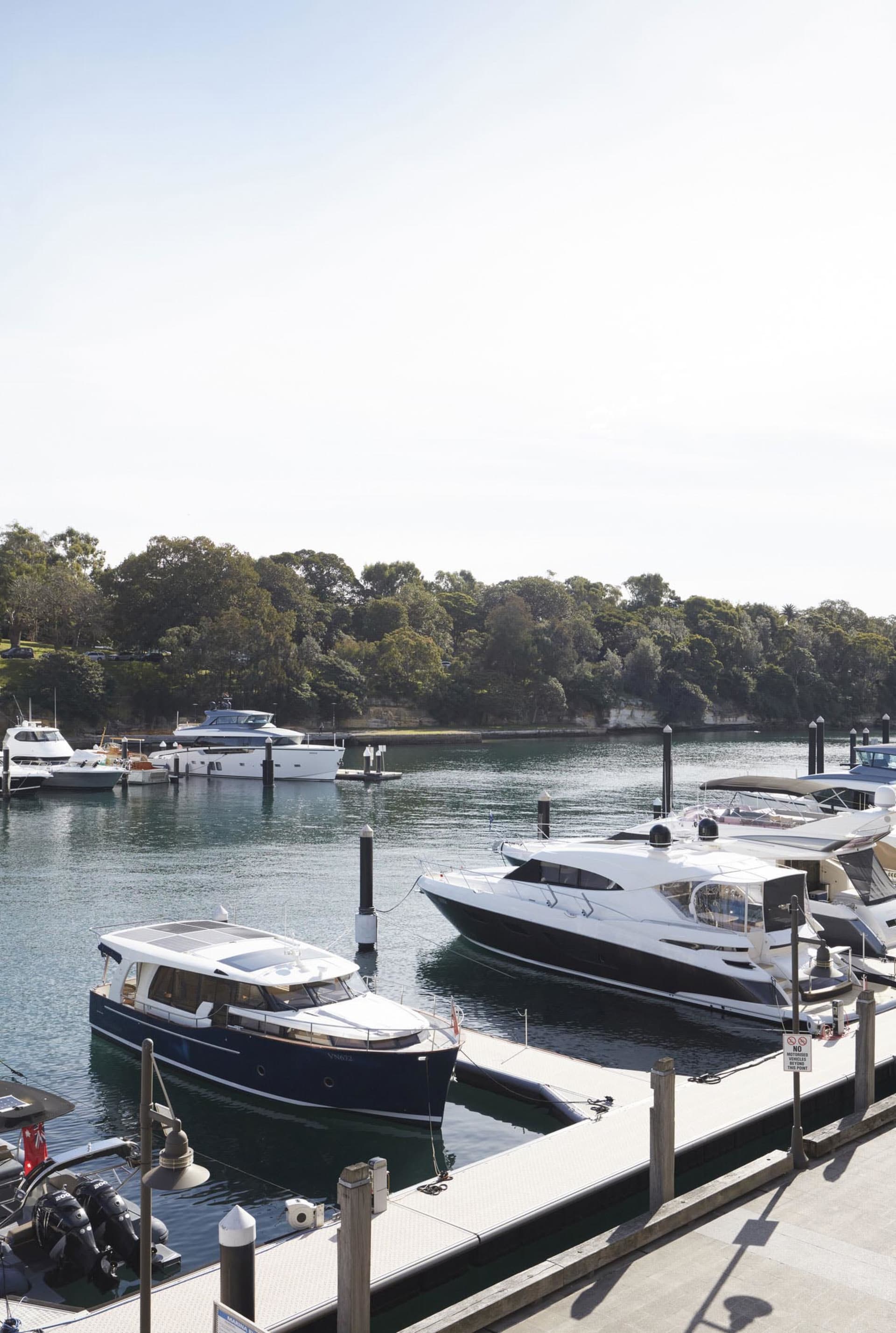 Several marine yachts docked at a serene port area with a backdrop of lush greenery under a clear sky.